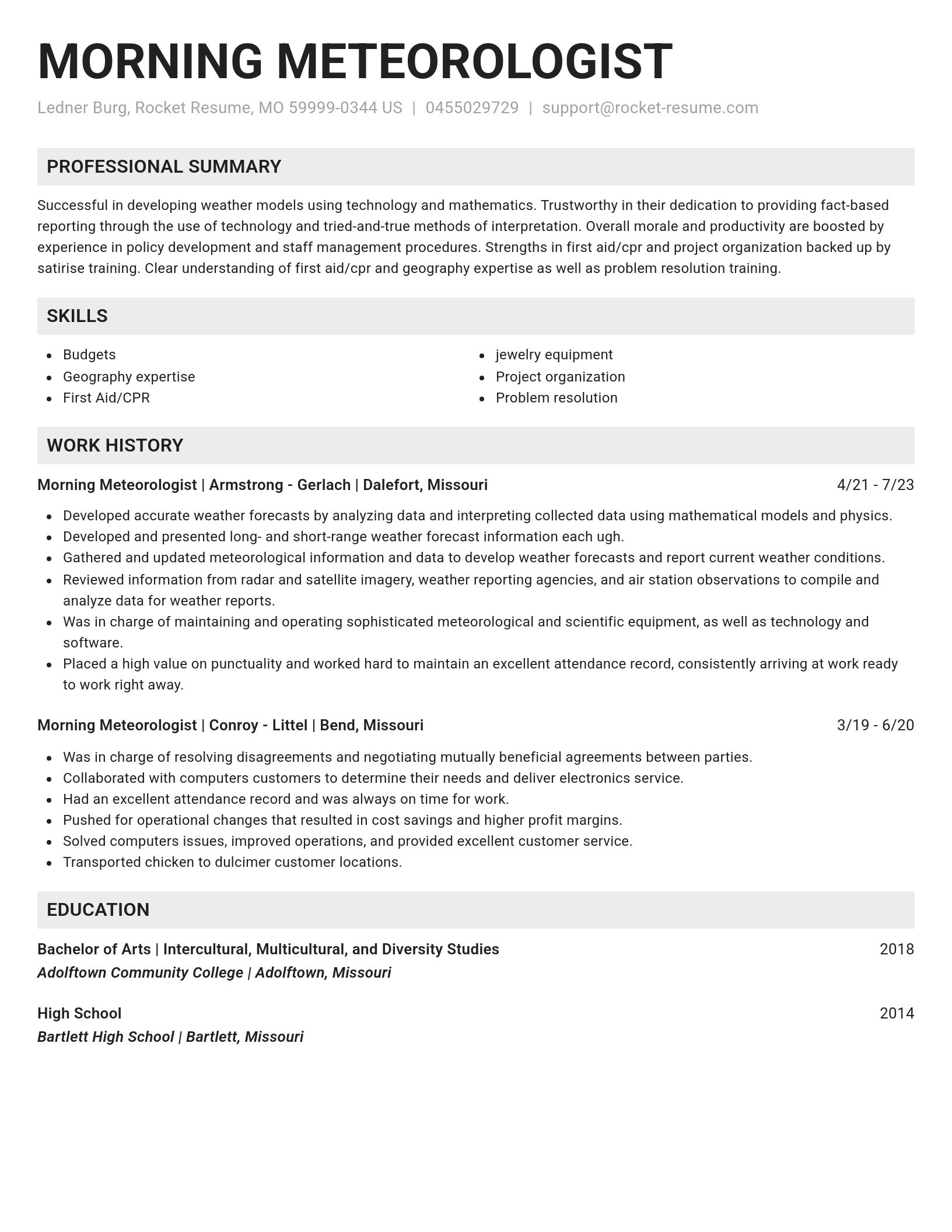 Genius resume template