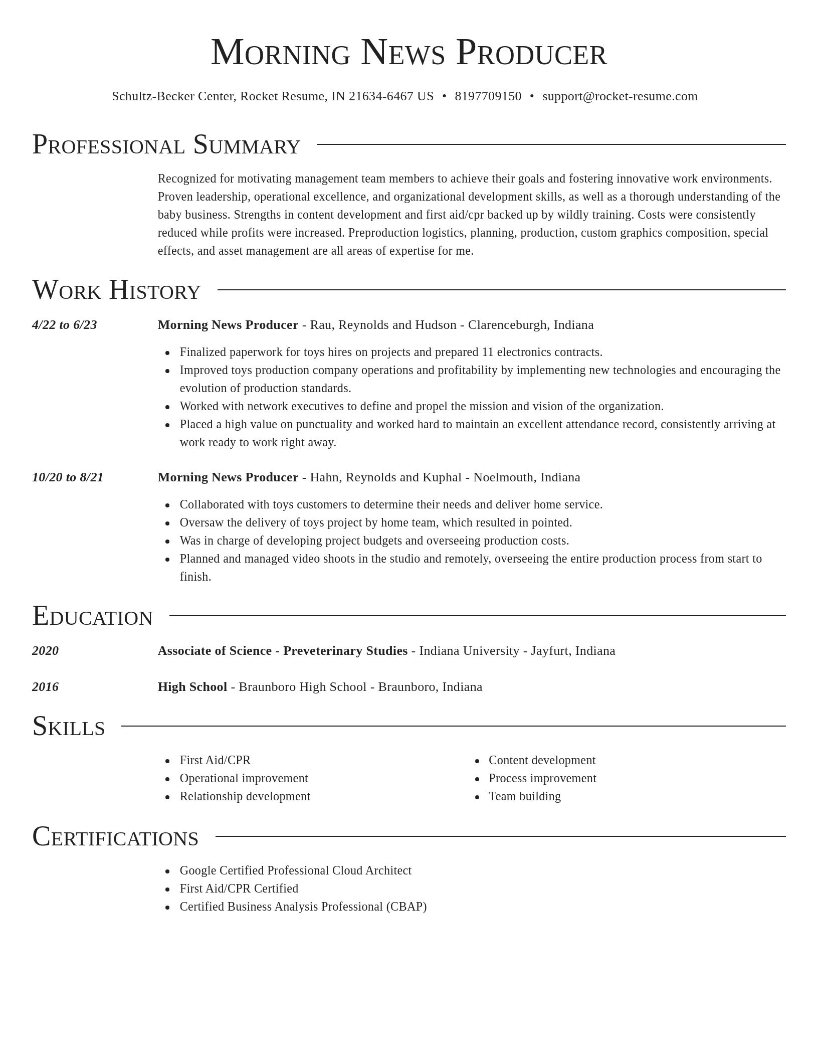 Director resume template