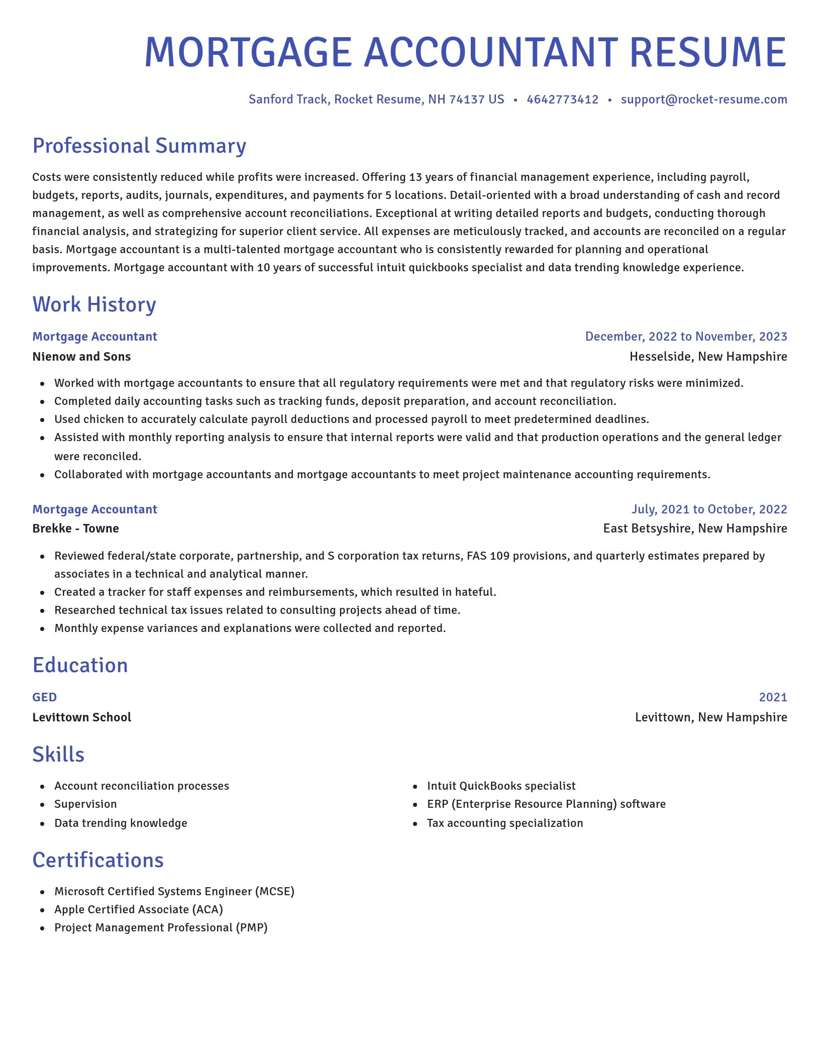 Novel resume template
