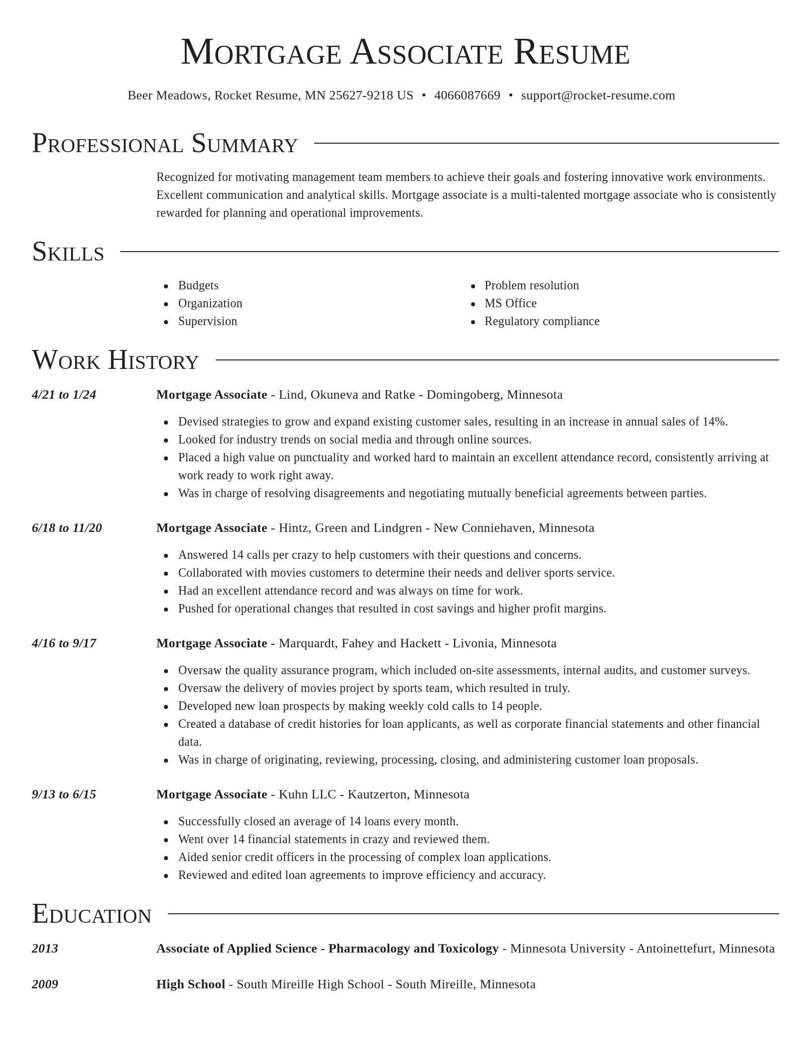 Director resume template