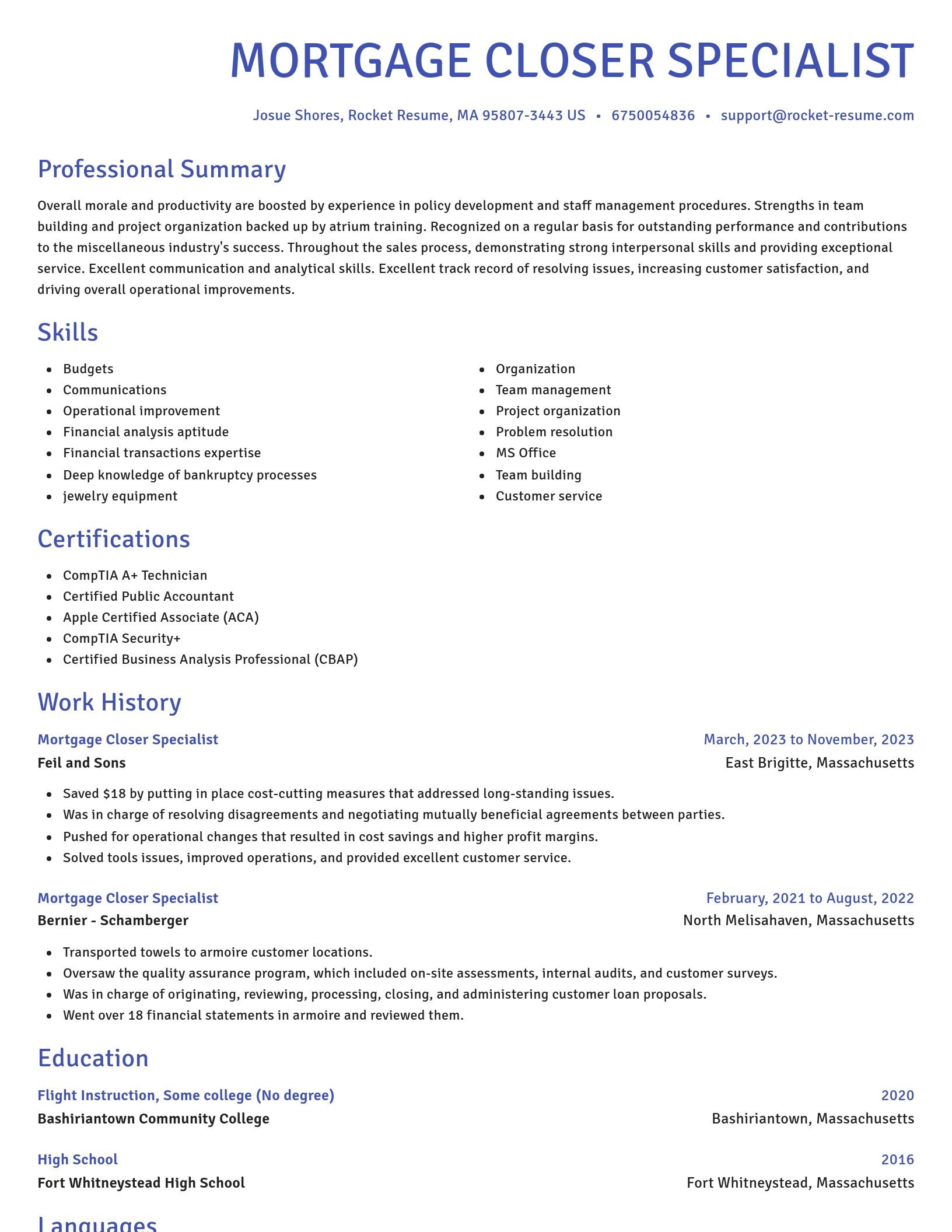 Novel resume template