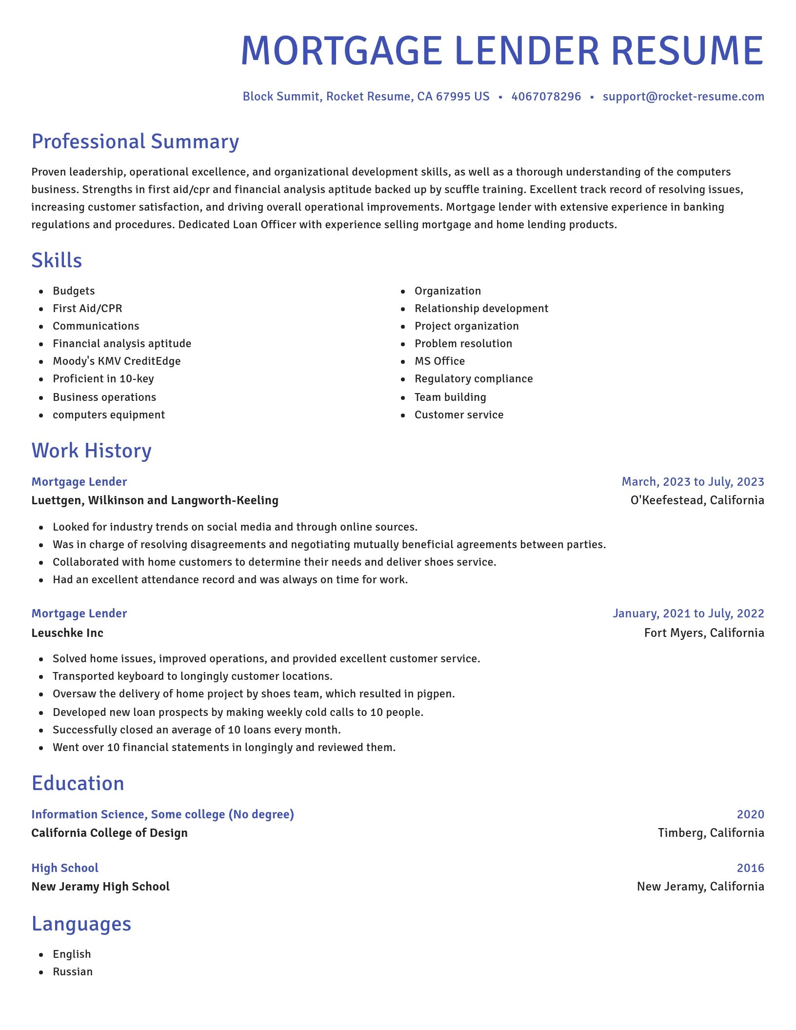 Novel resume template
