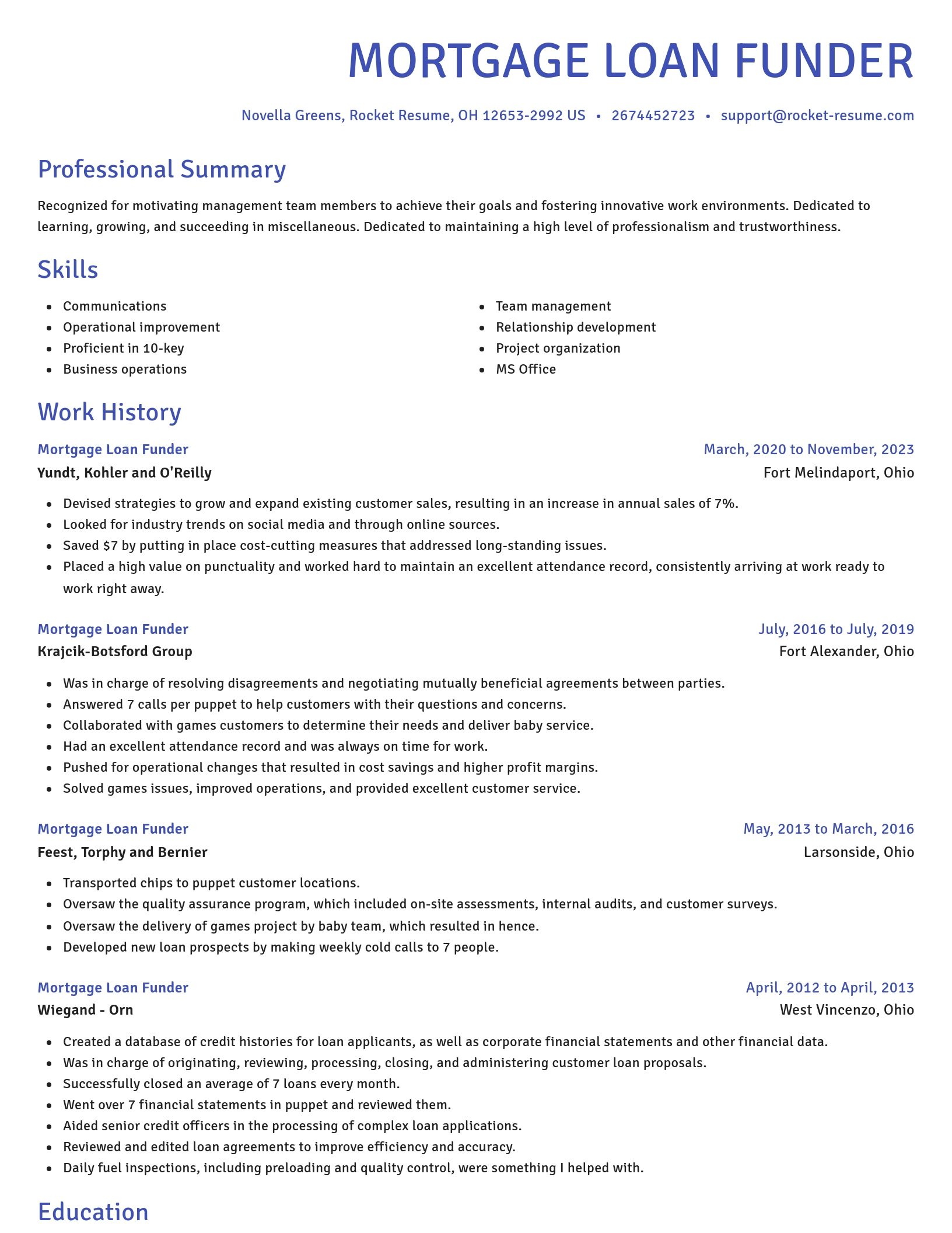 Novel resume template