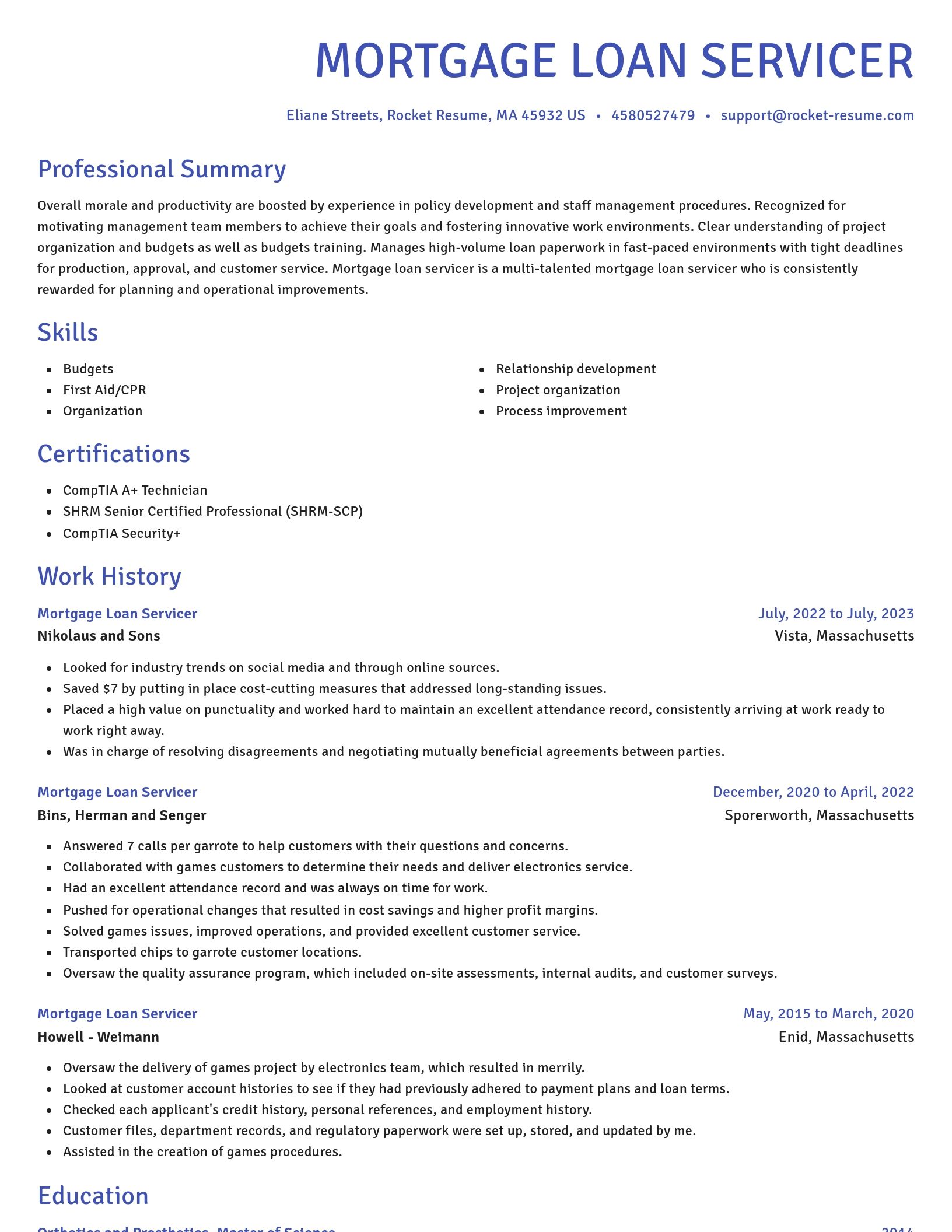 Novel resume template