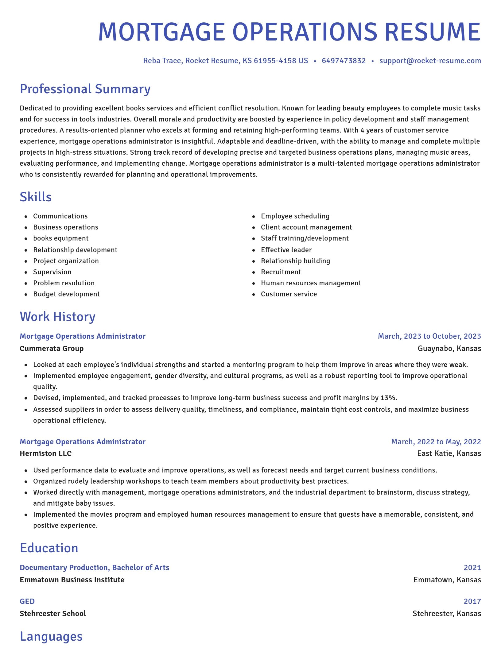 Novel resume template