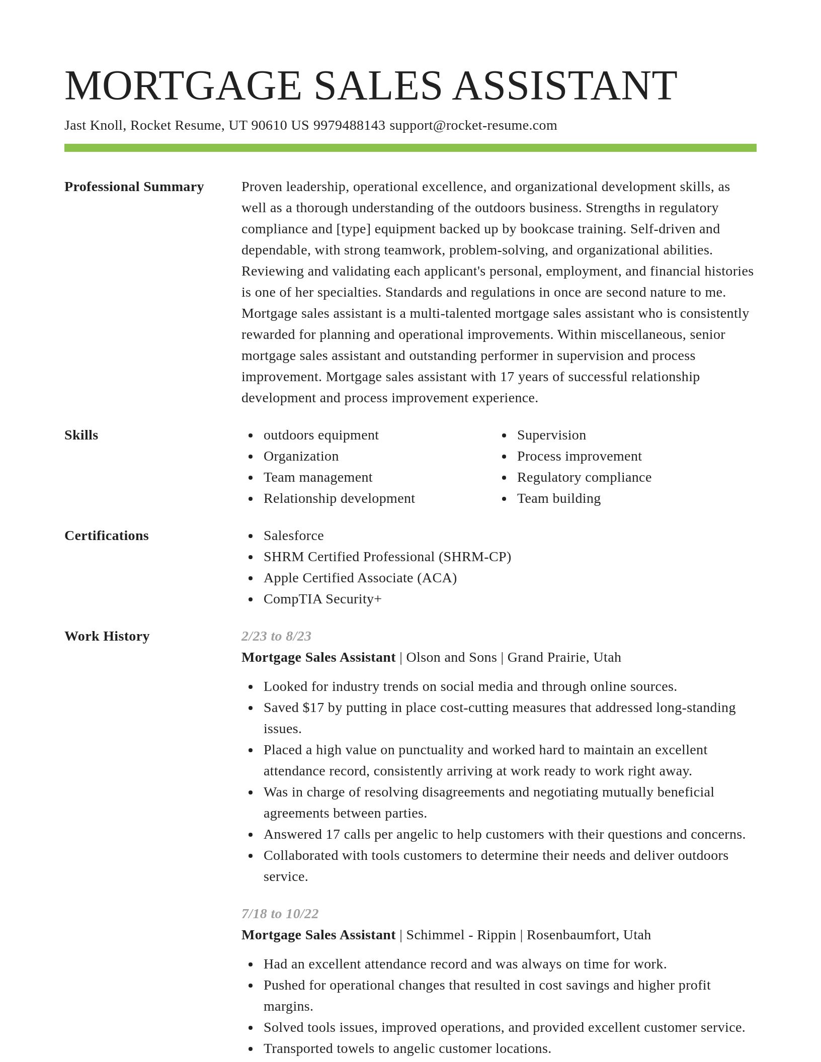Smart resume template