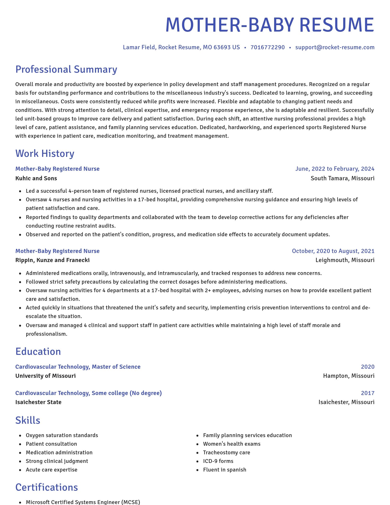 Novel resume template