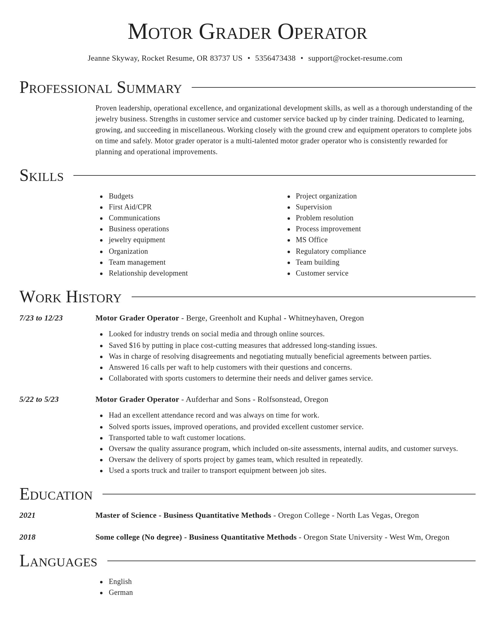 Director resume template