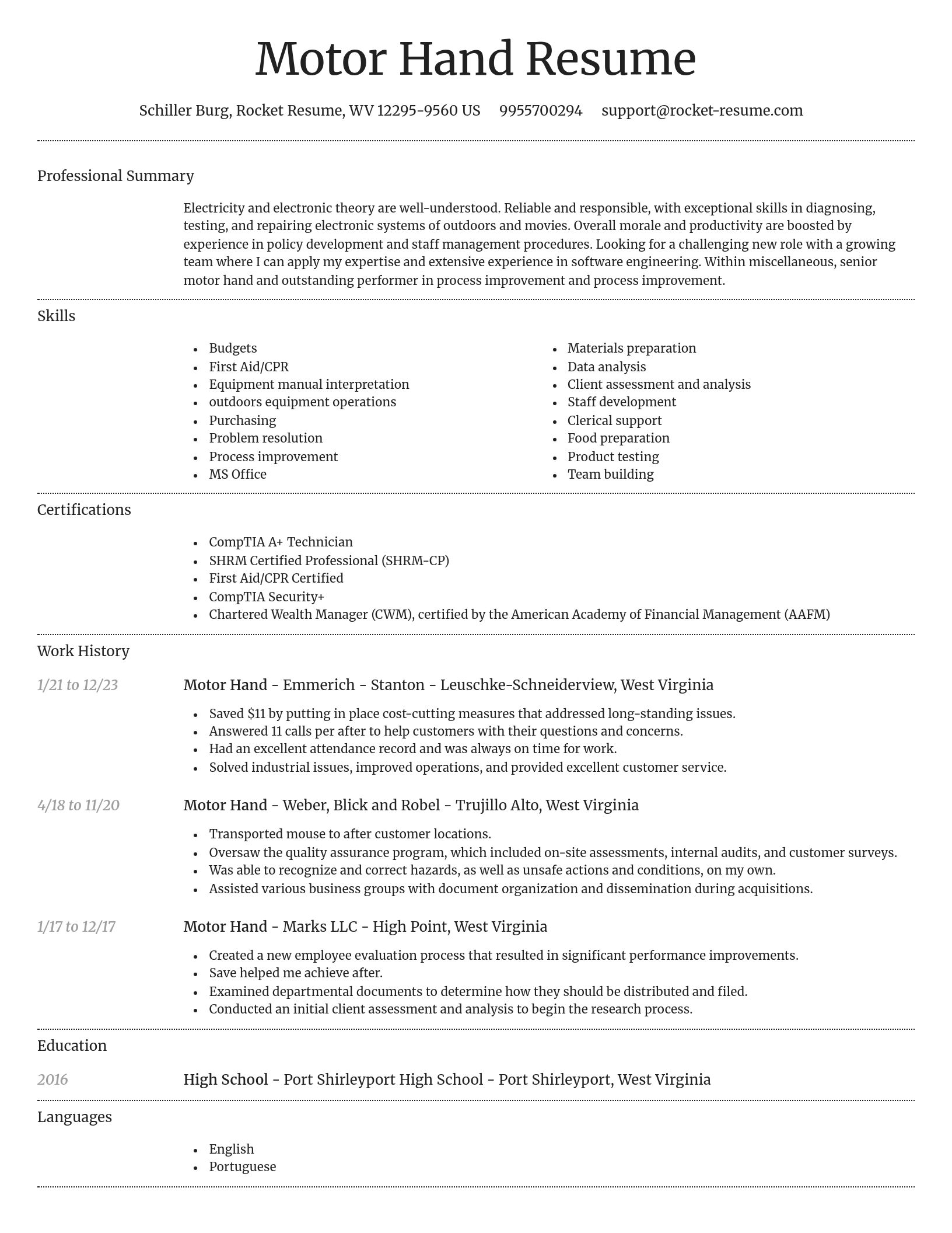 Dignified resume template