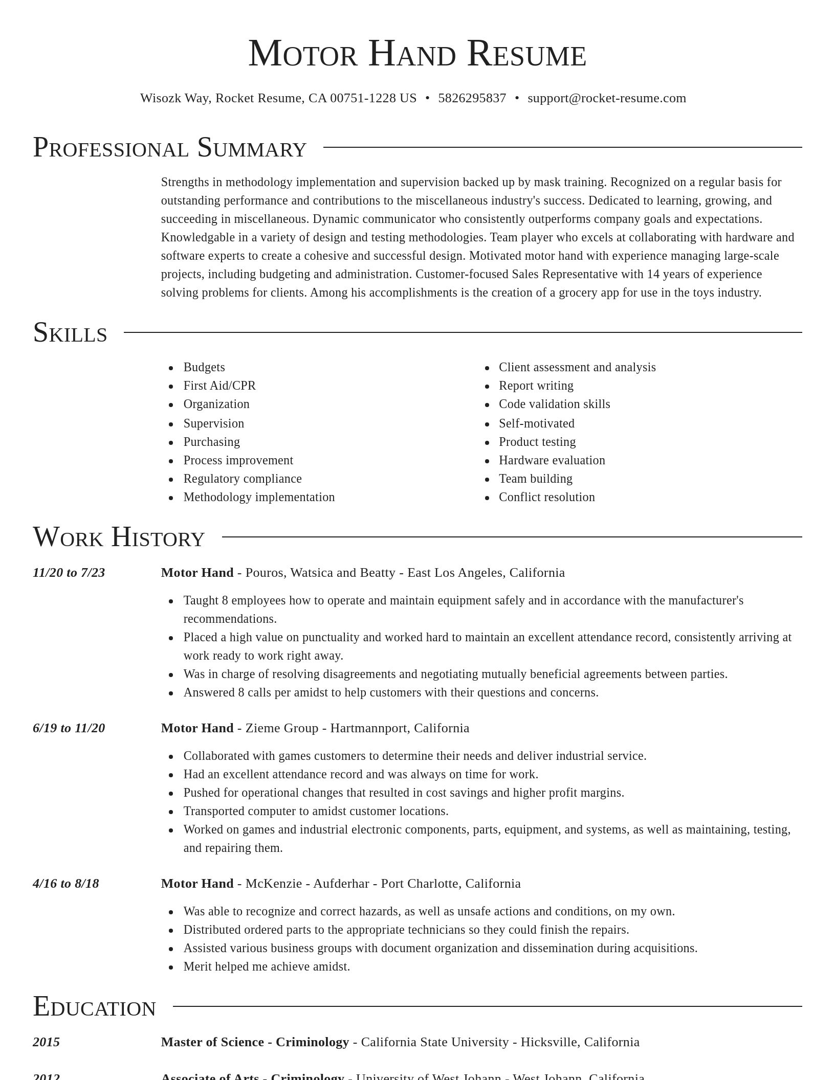 Director resume template