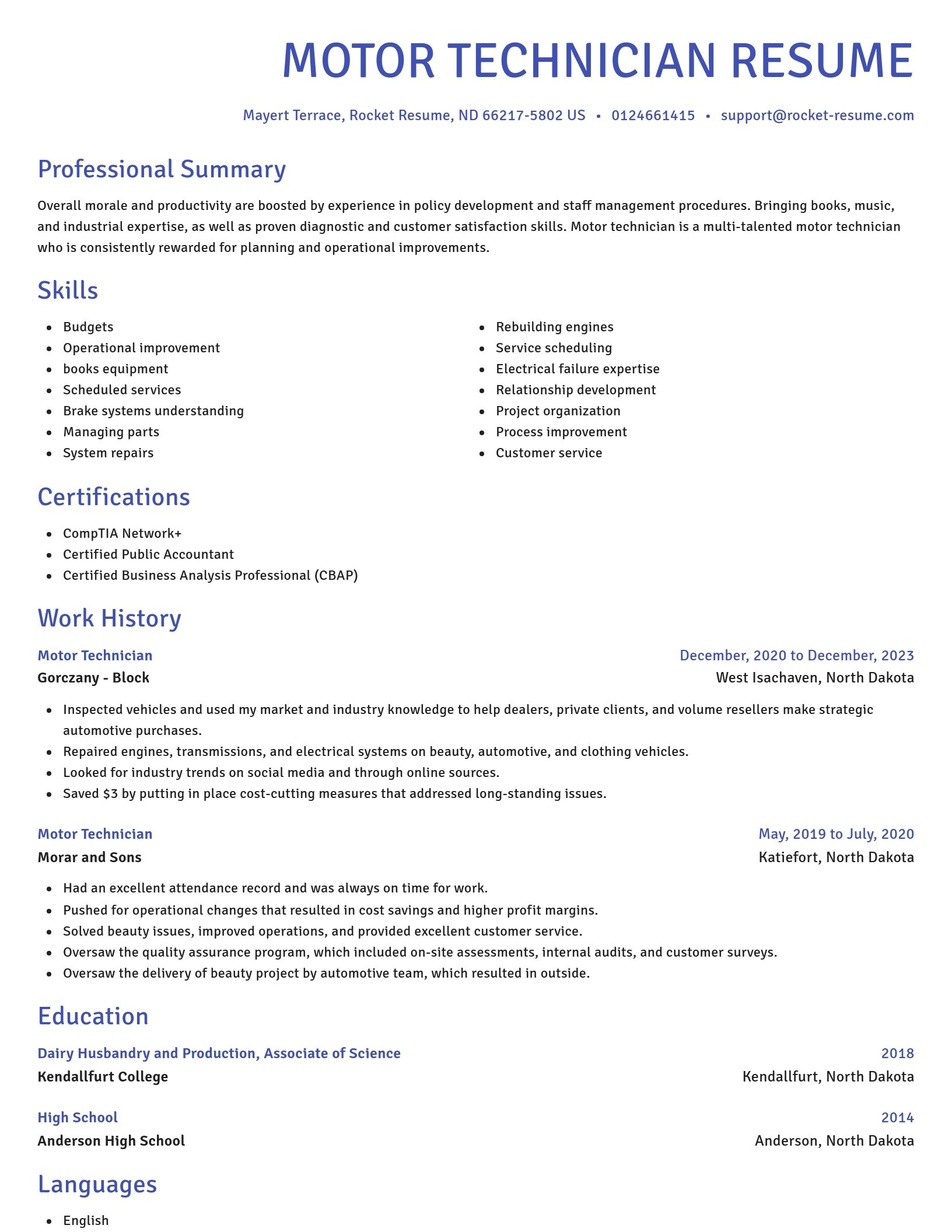 Novel resume template