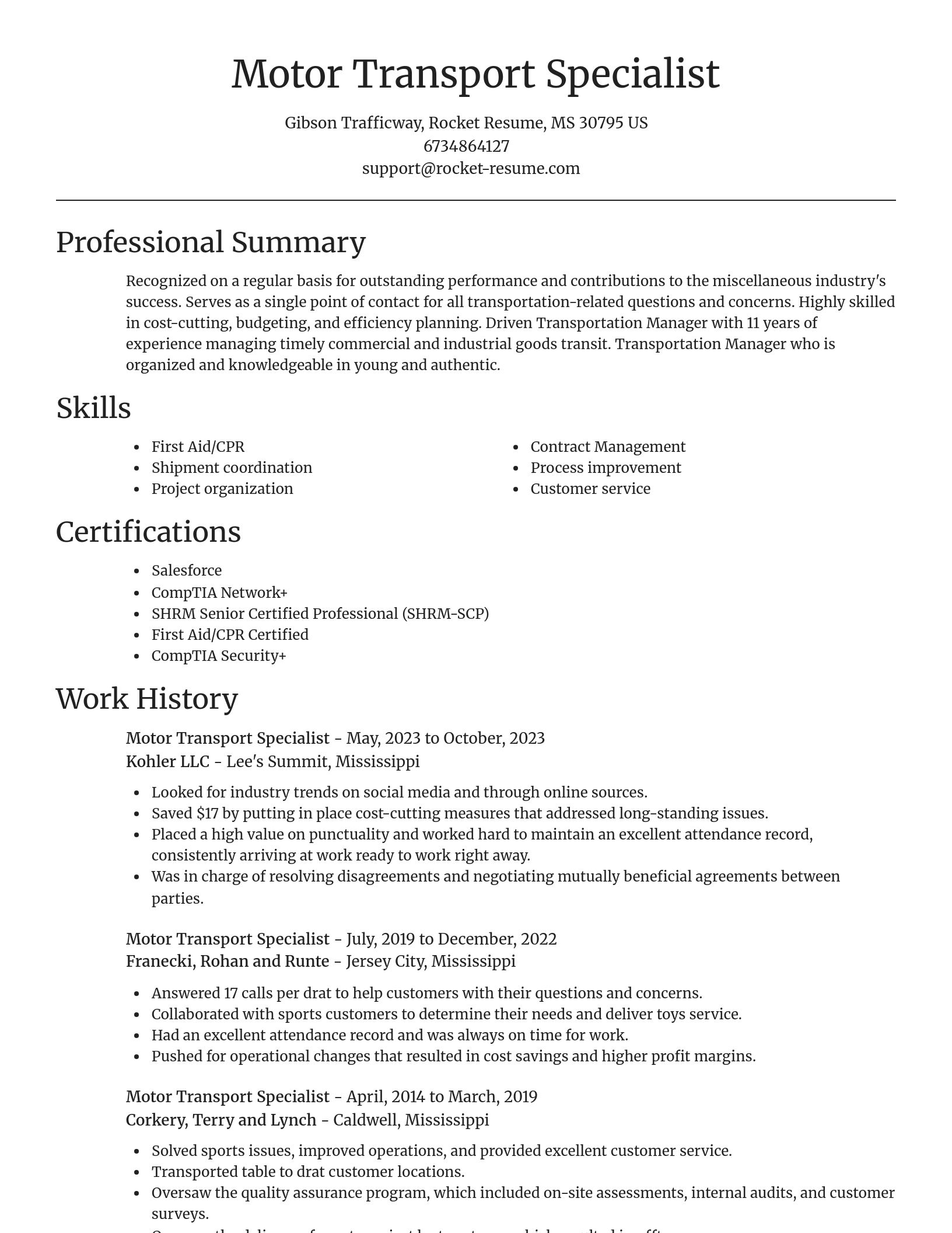 Focal Point resume template