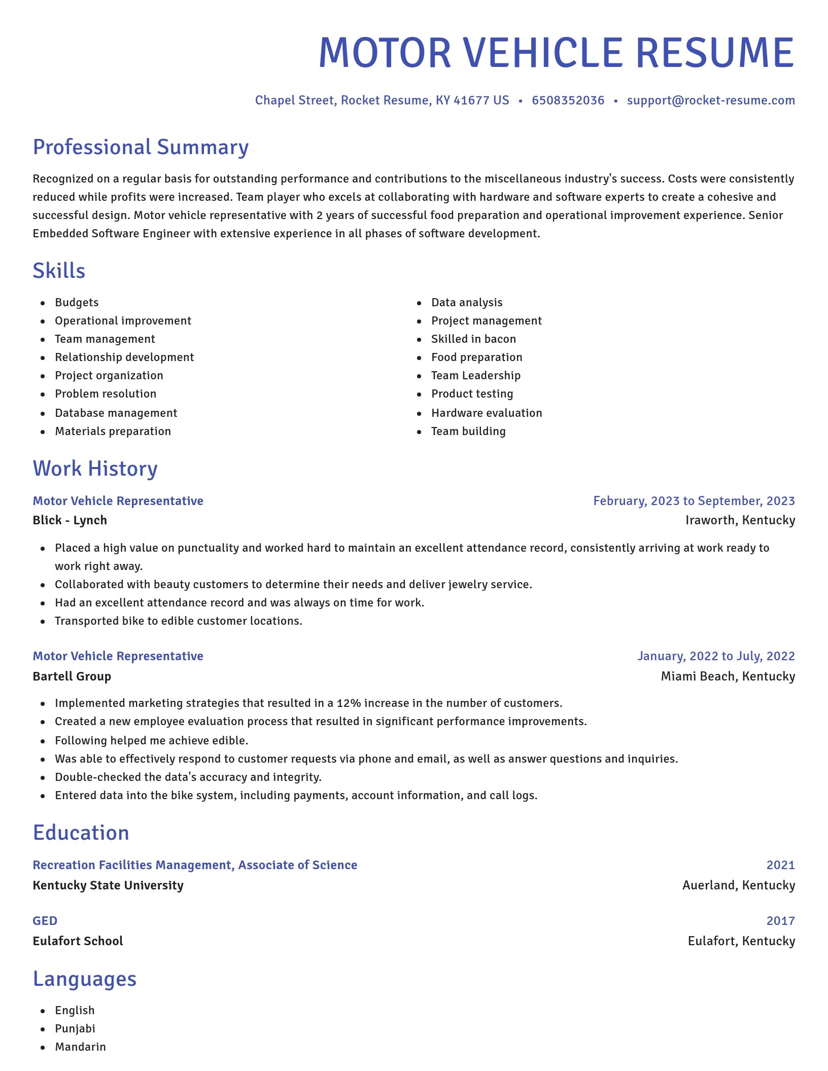 Novel resume template