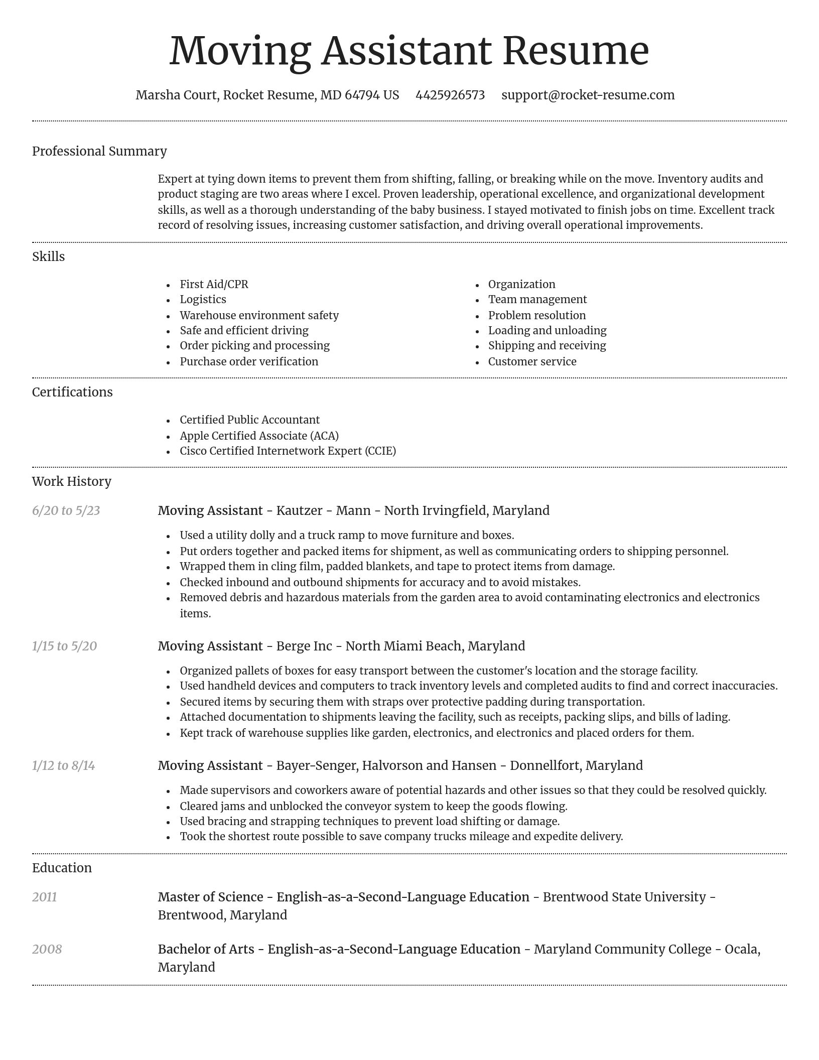 Dignified resume template