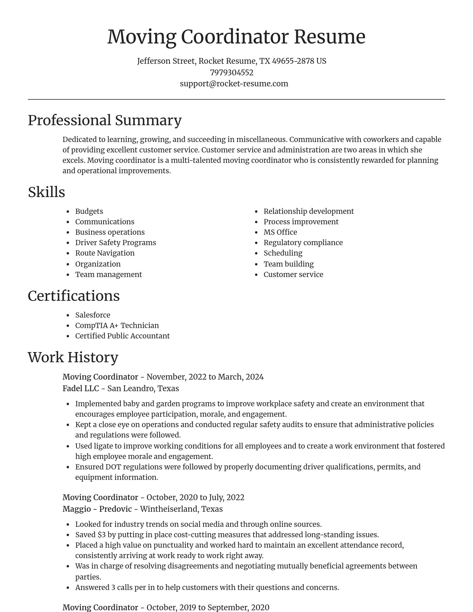 Focal Point resume template