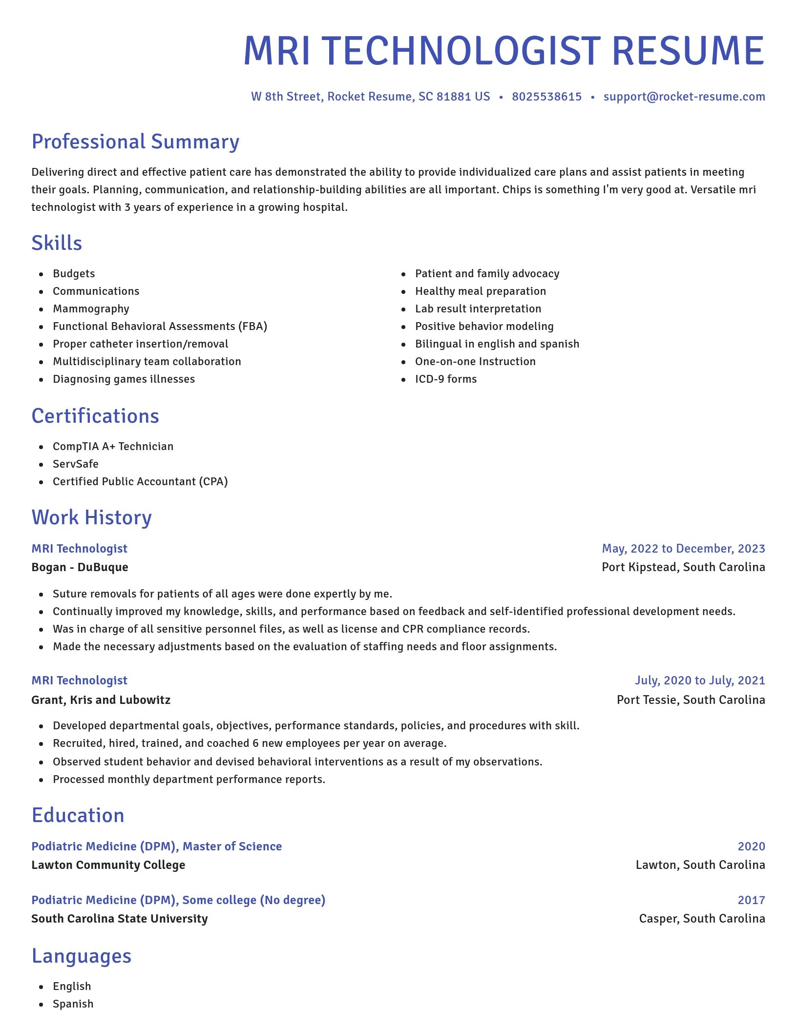 Novel resume template