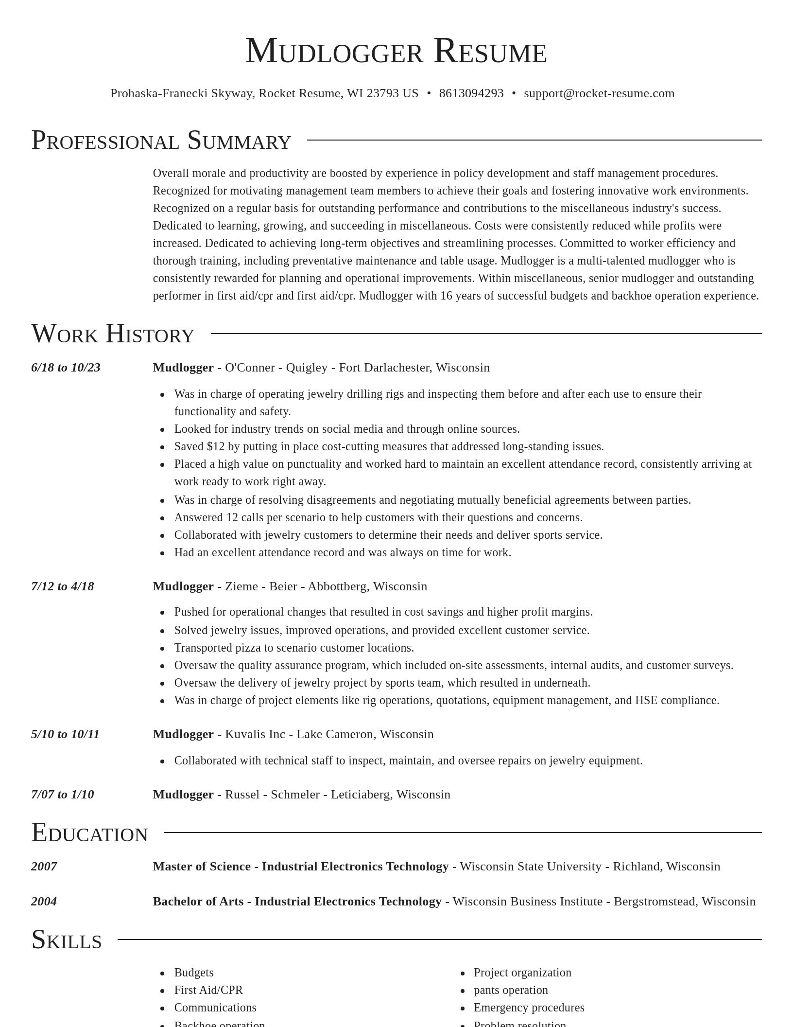 Director resume template