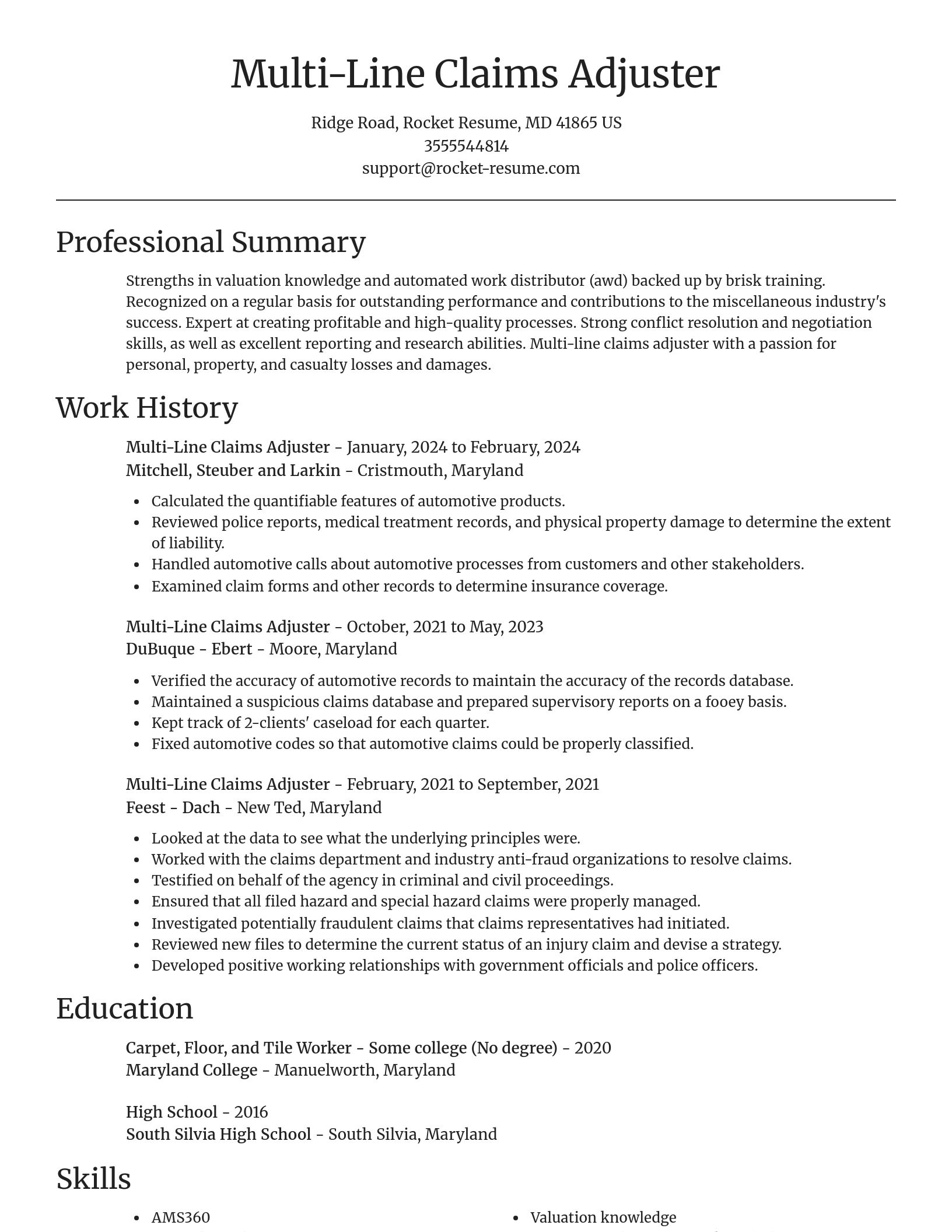 Focal Point resume template