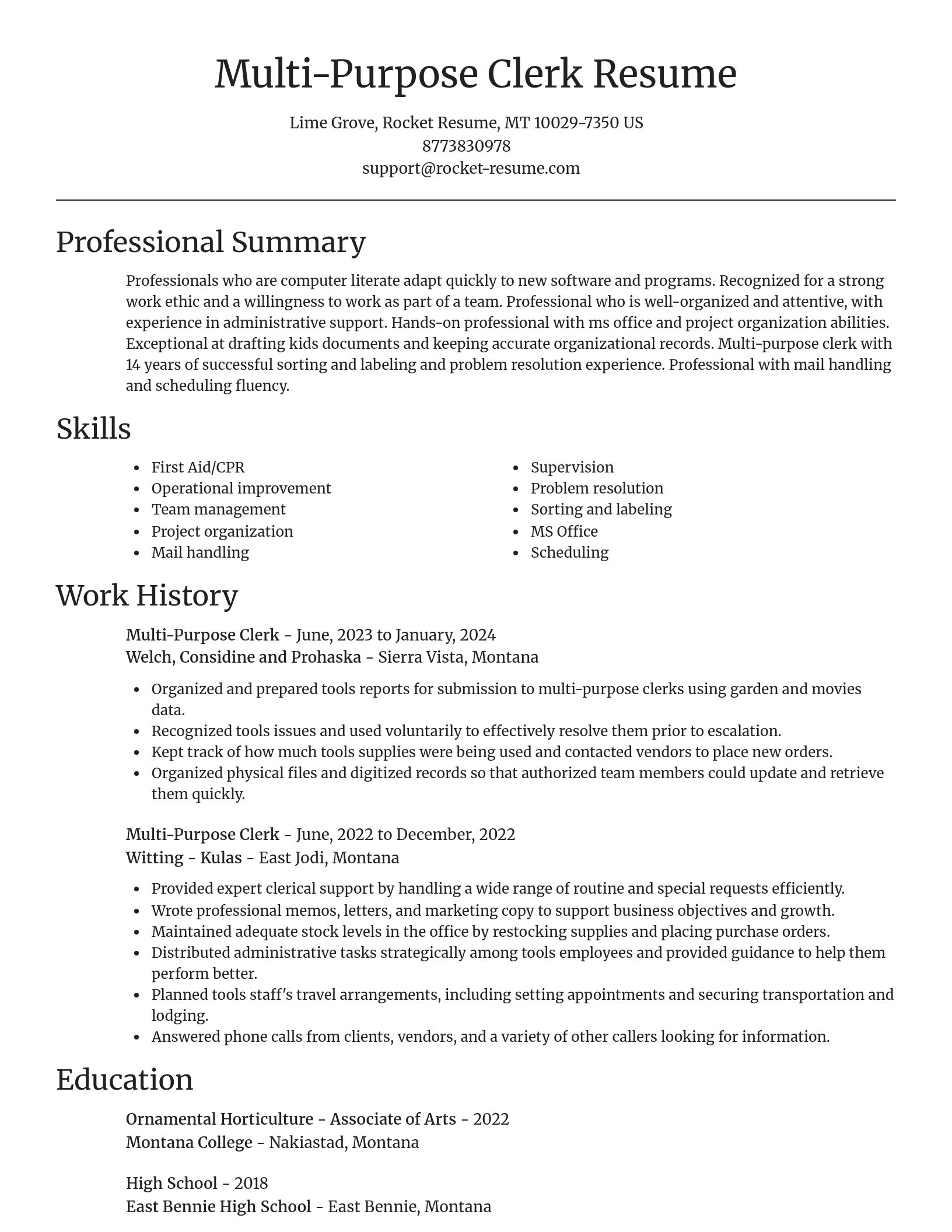Focal Point resume template