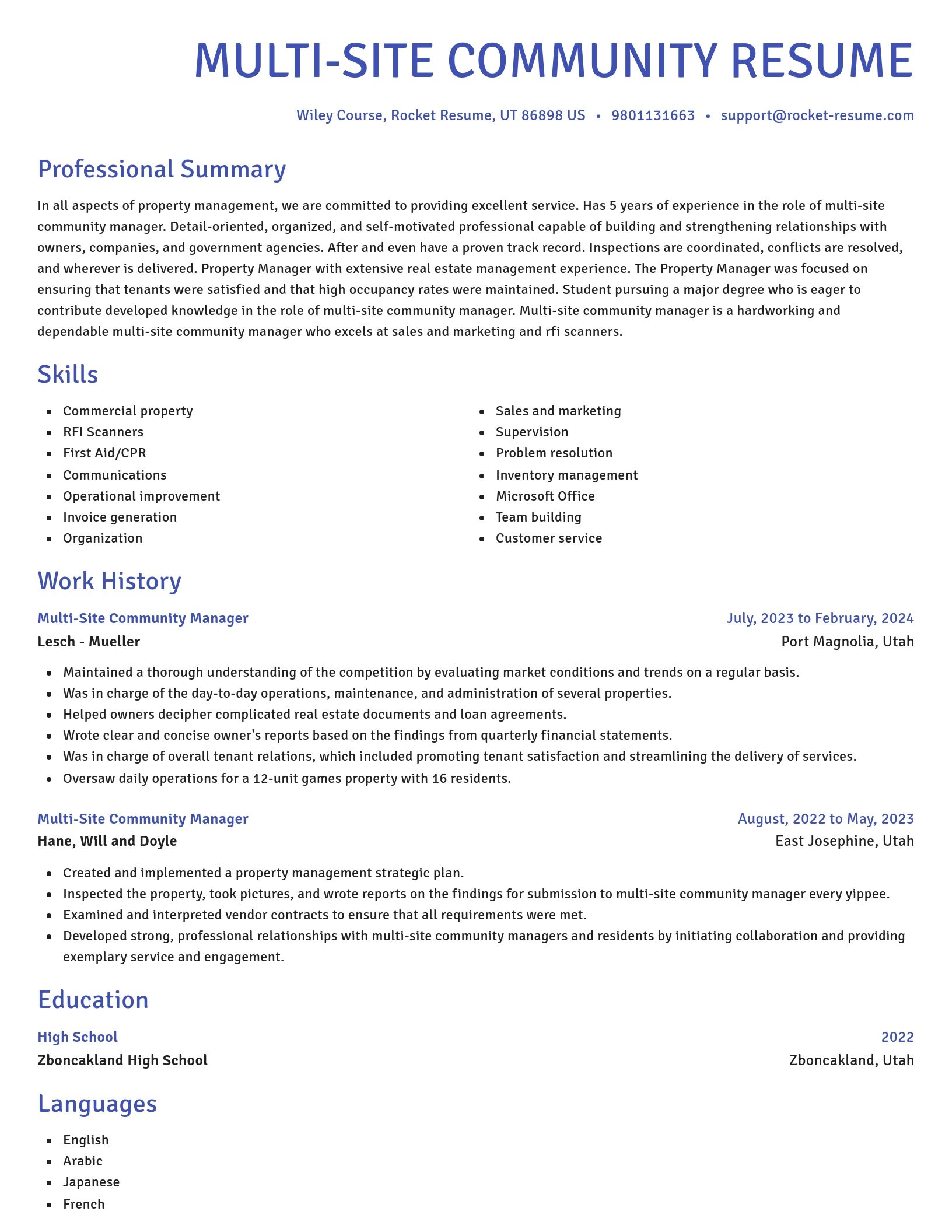 Novel resume template