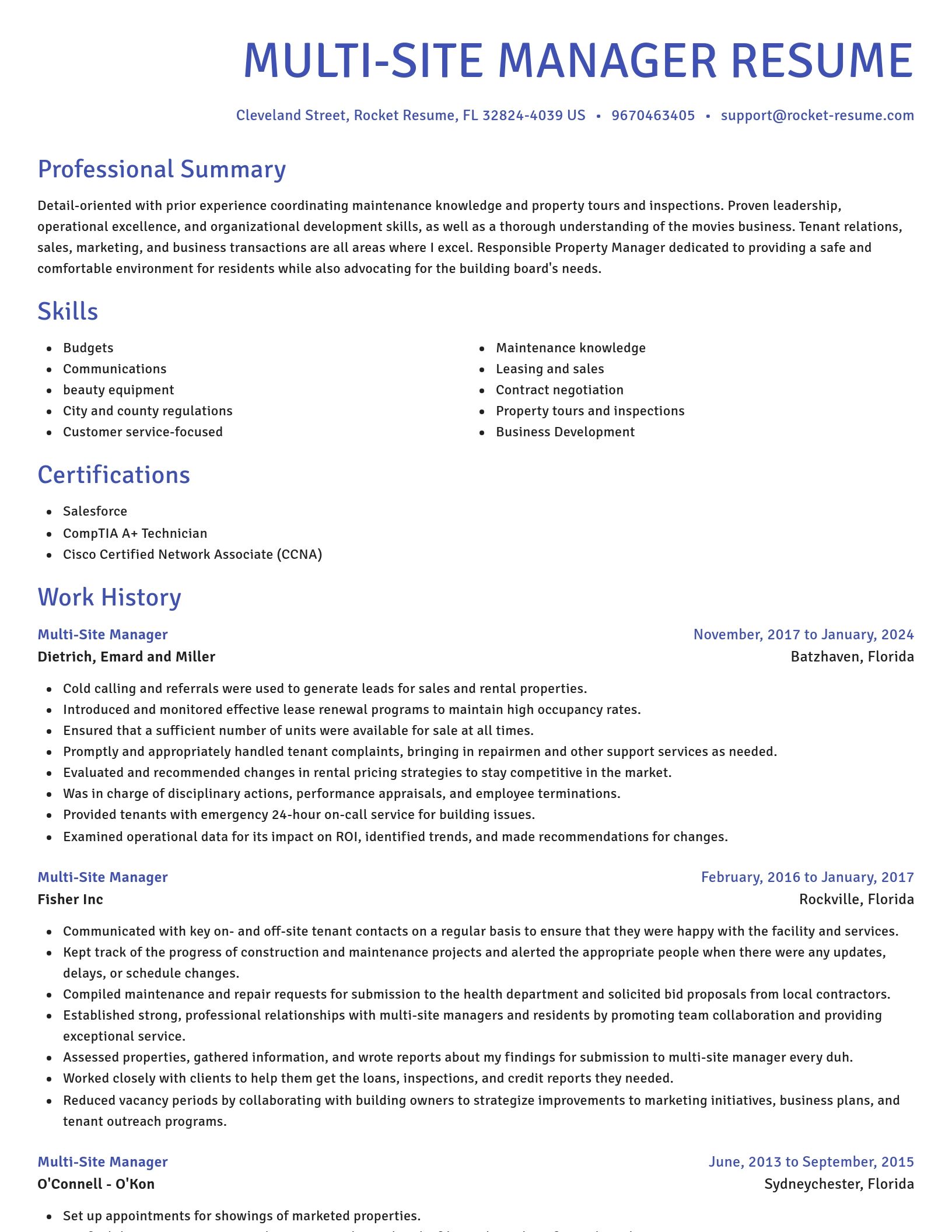 Novel resume template