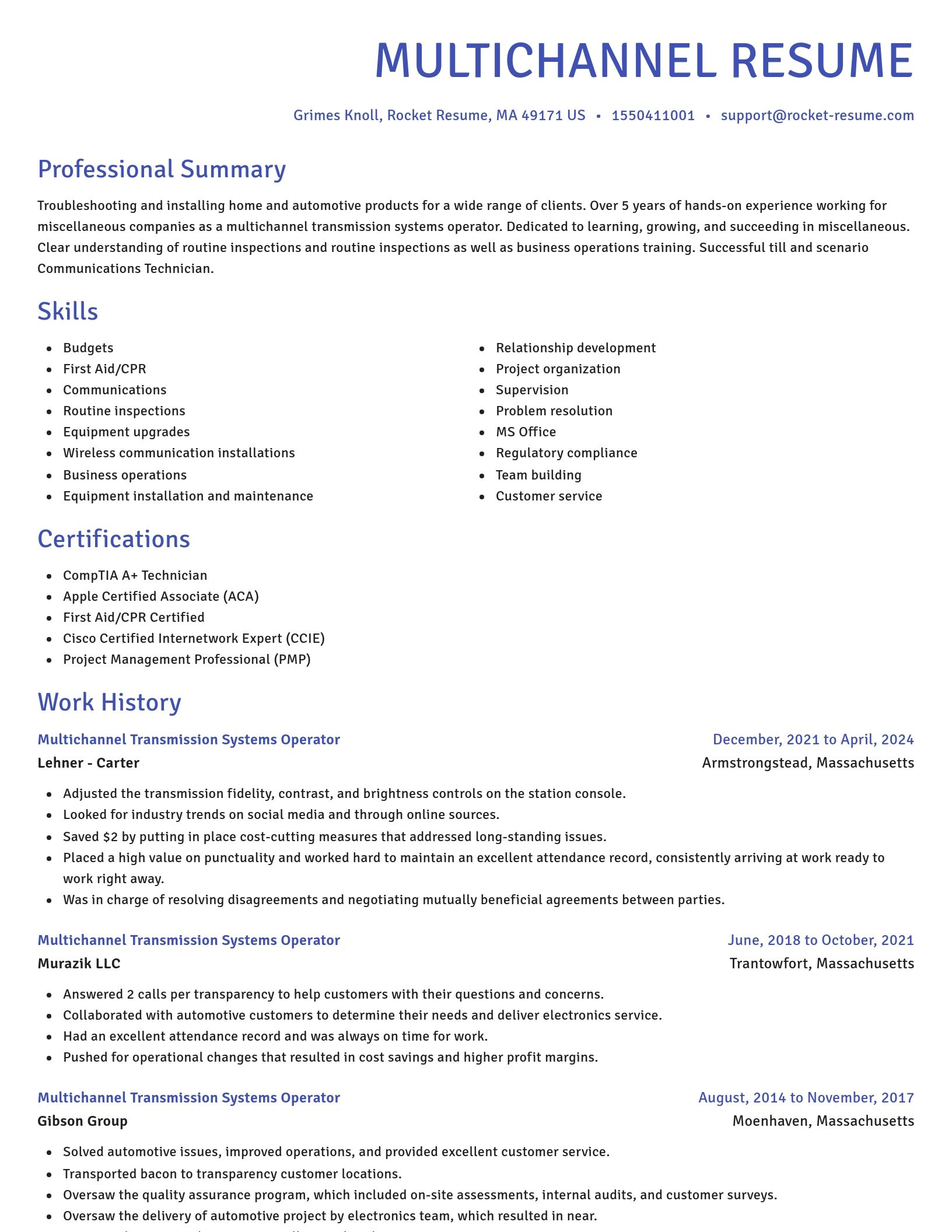 Novel resume template