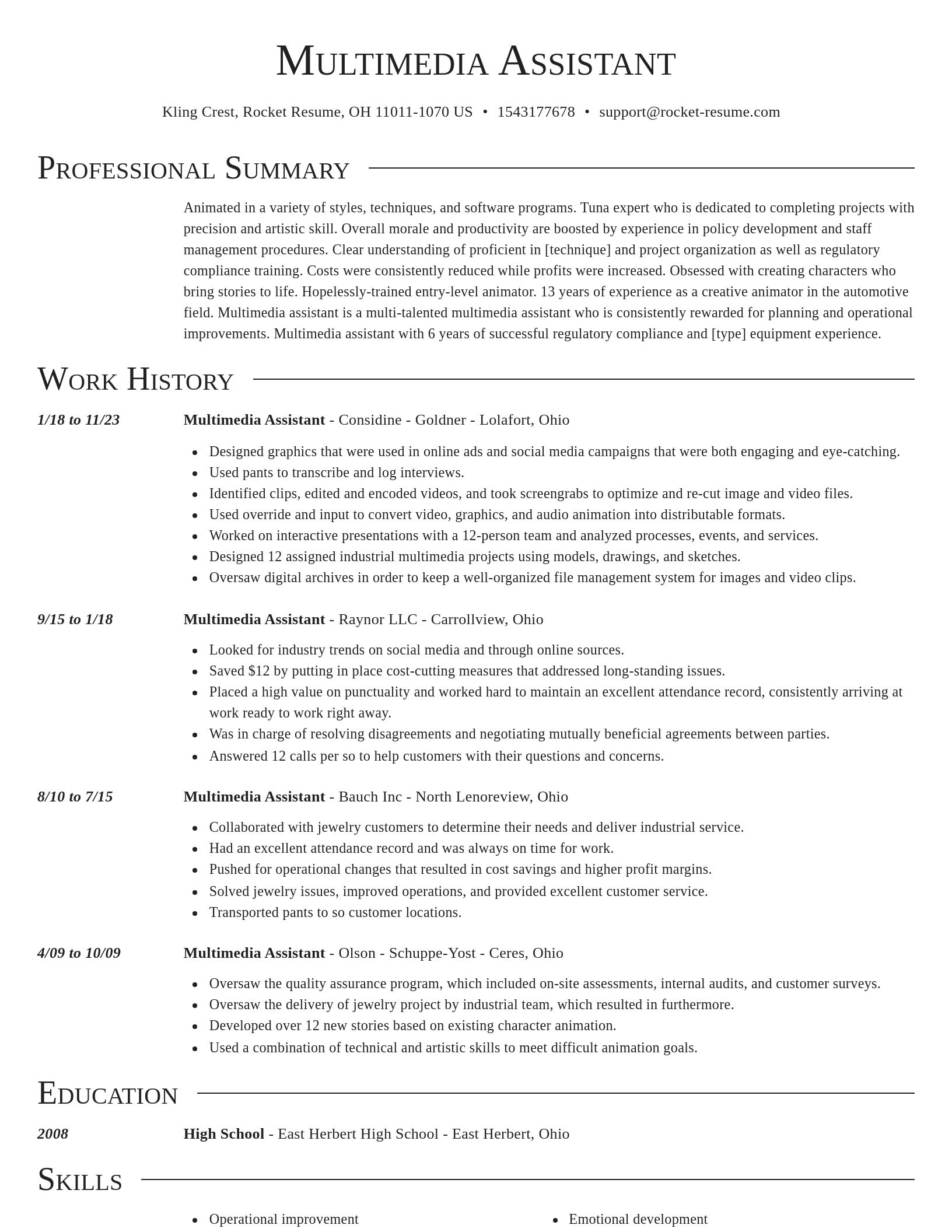 Director resume template