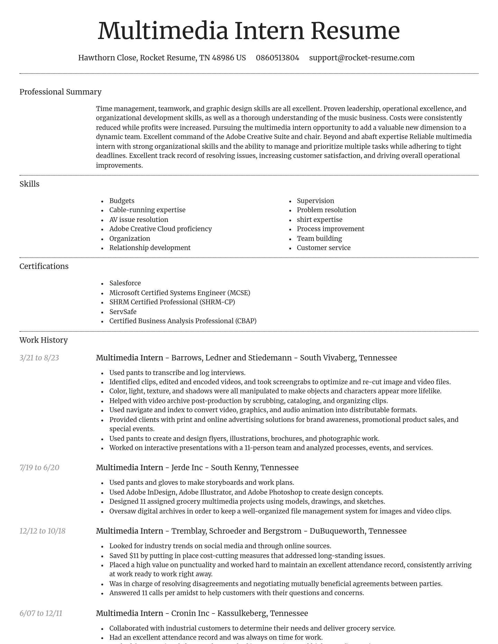 Dignified resume template