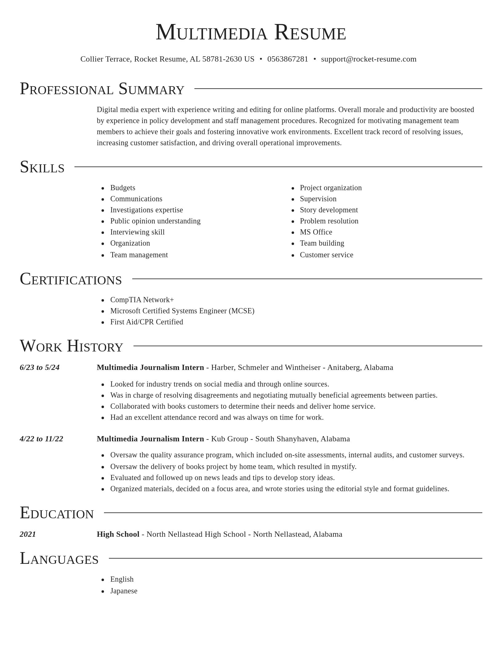 Director resume template