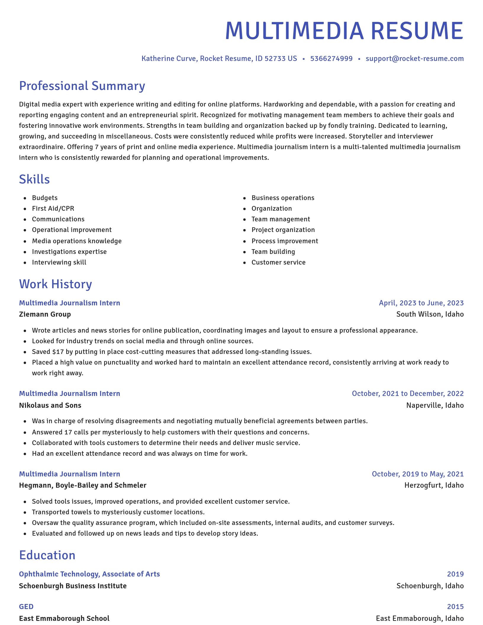 Novel resume template