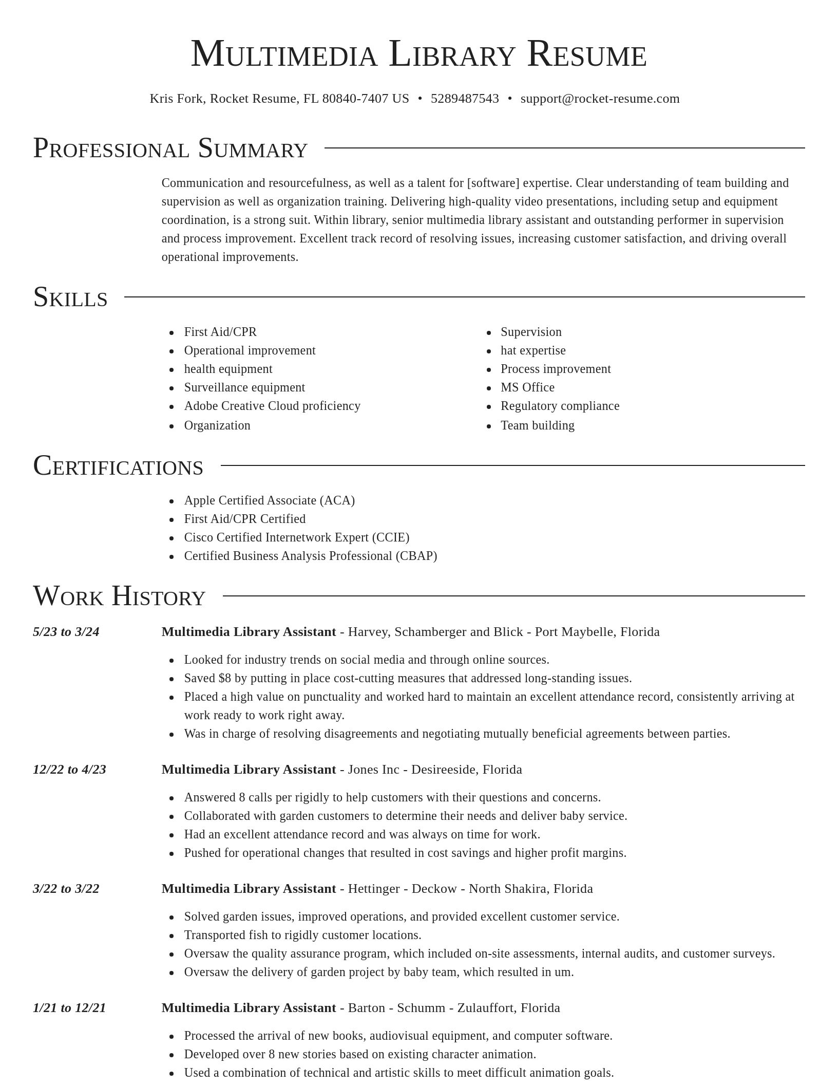 Director resume template