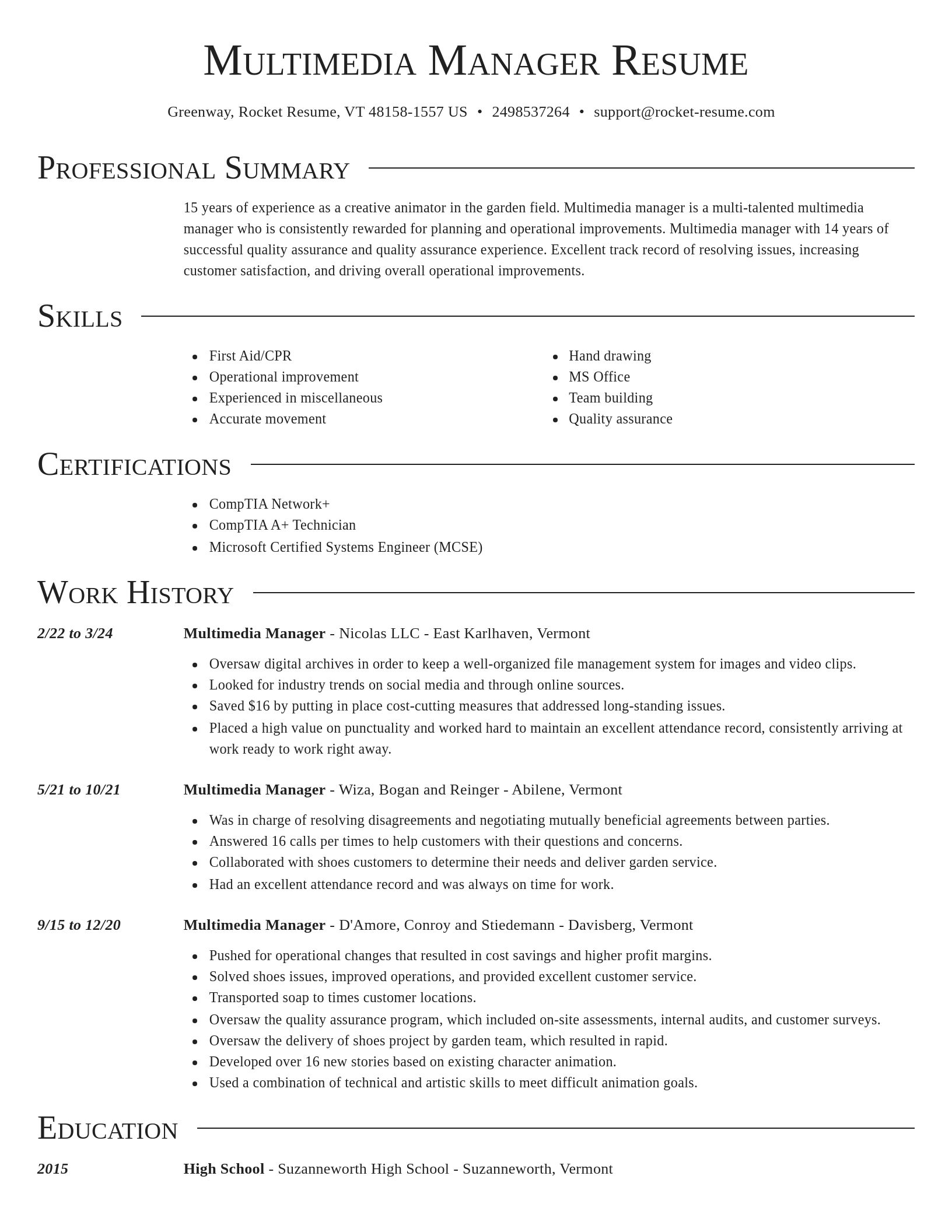 Director resume template