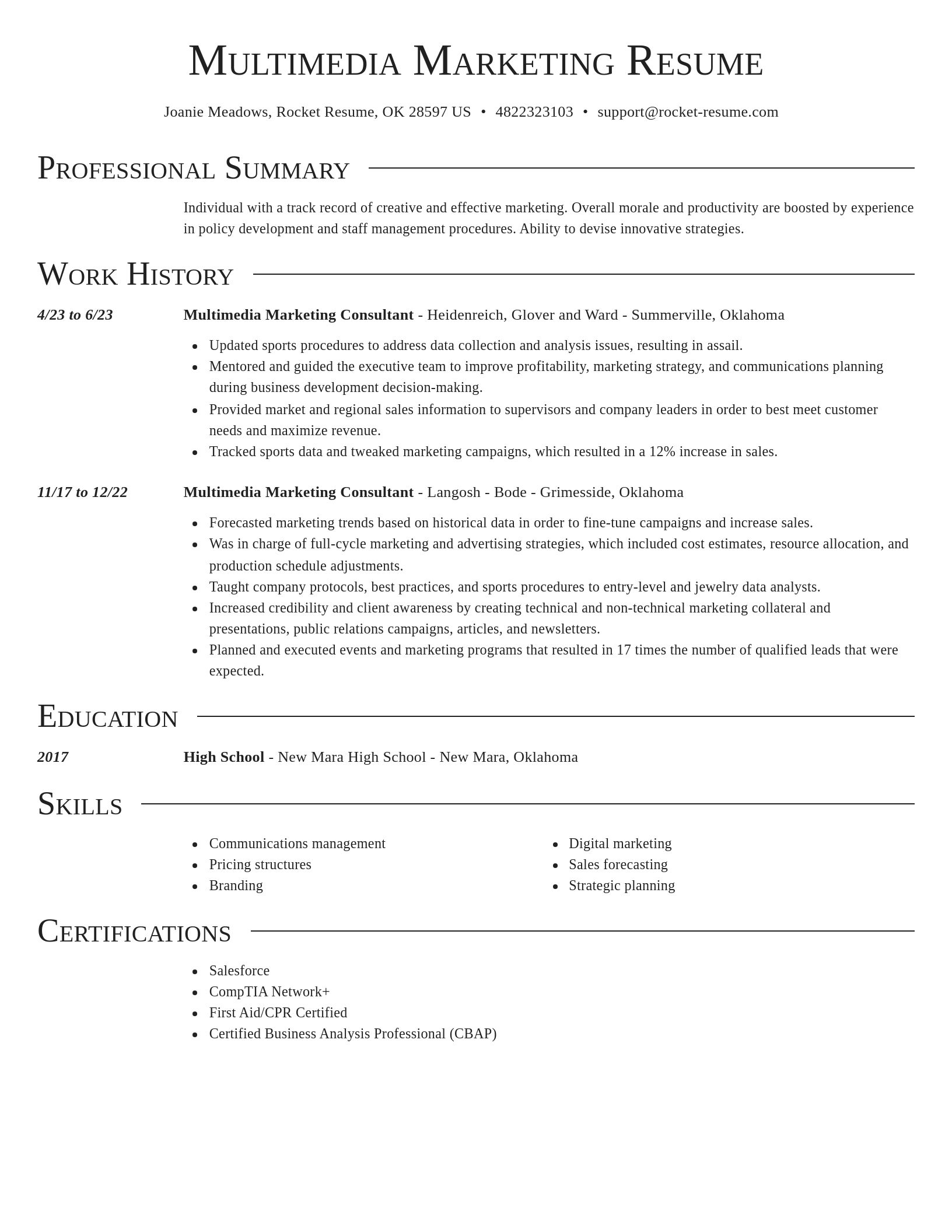 Director resume template