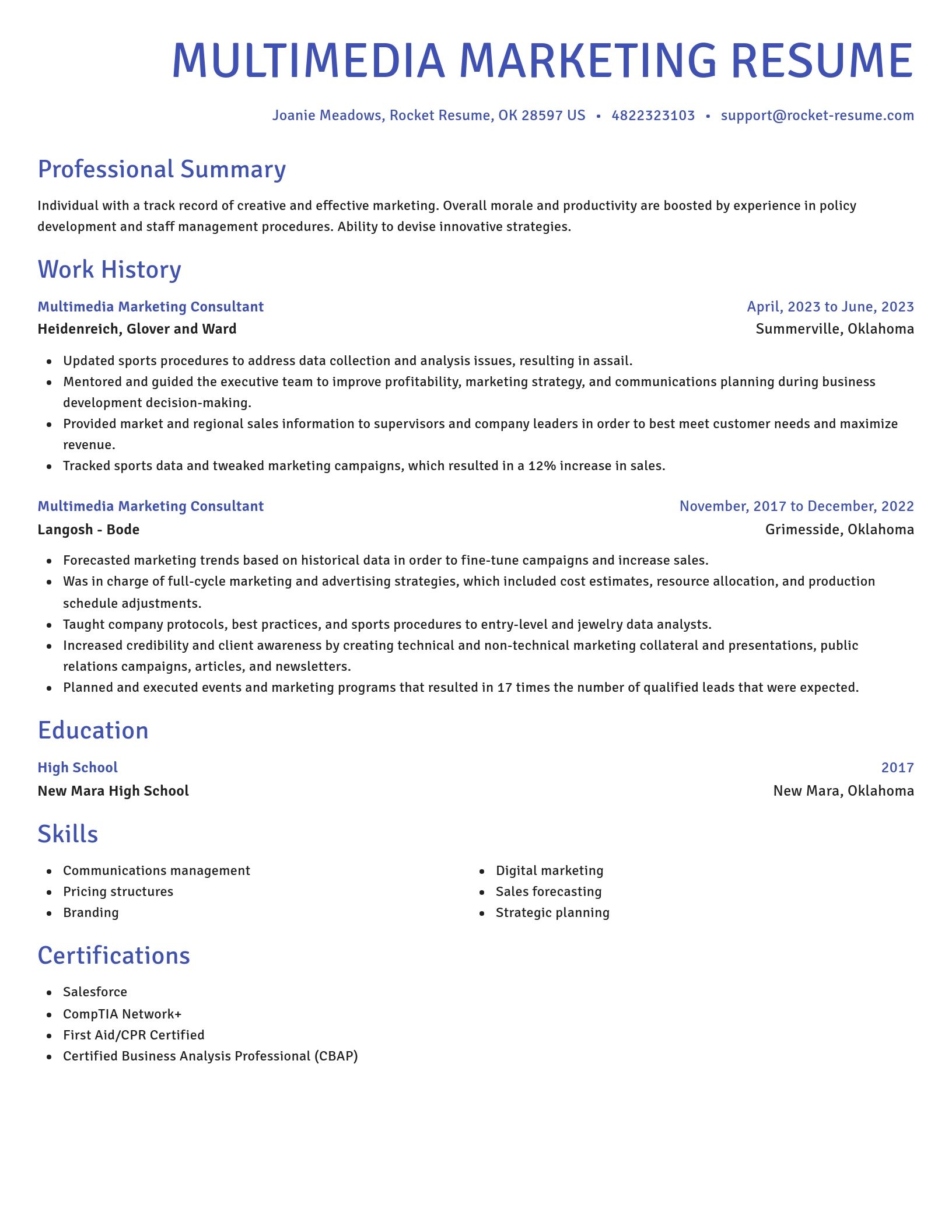 Novel resume template