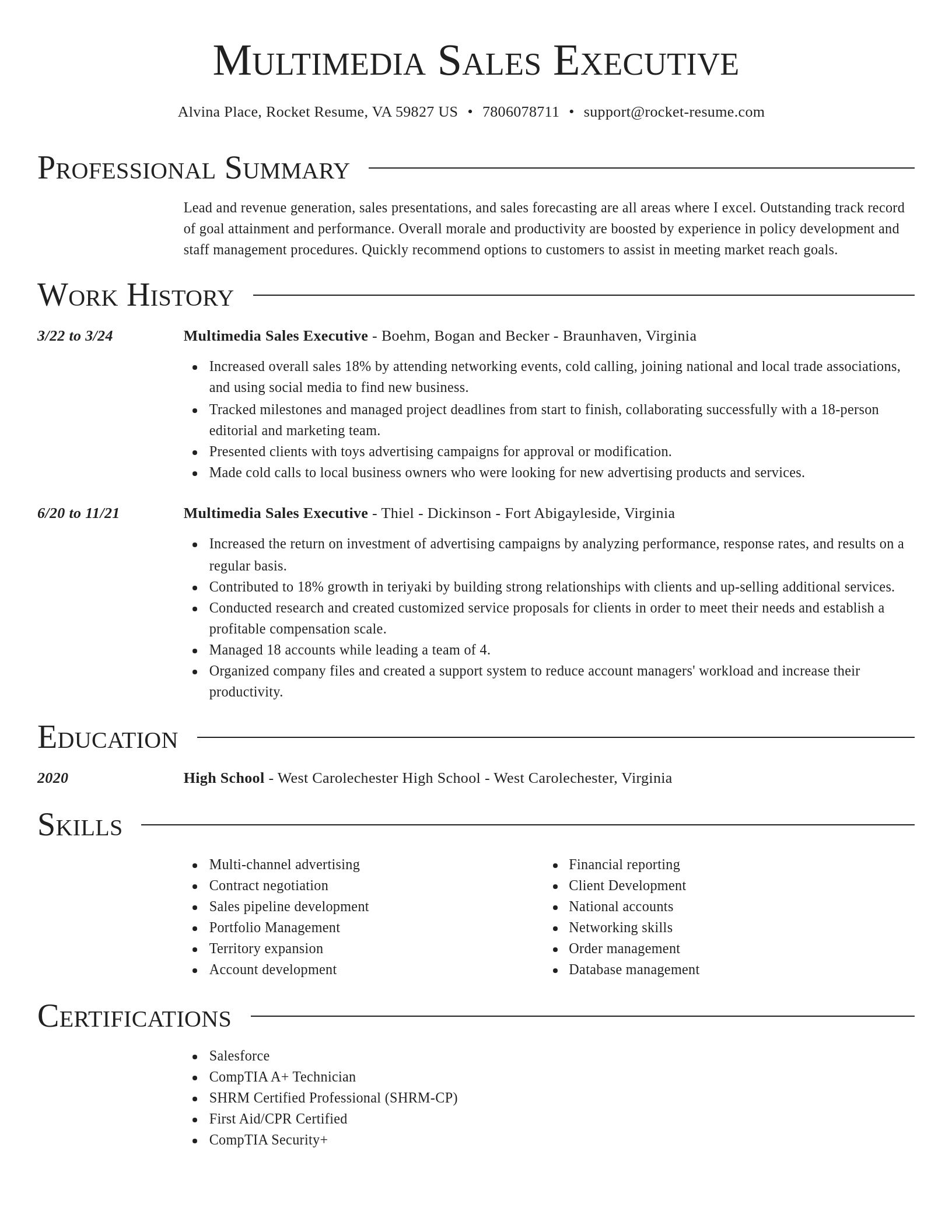 Director resume template