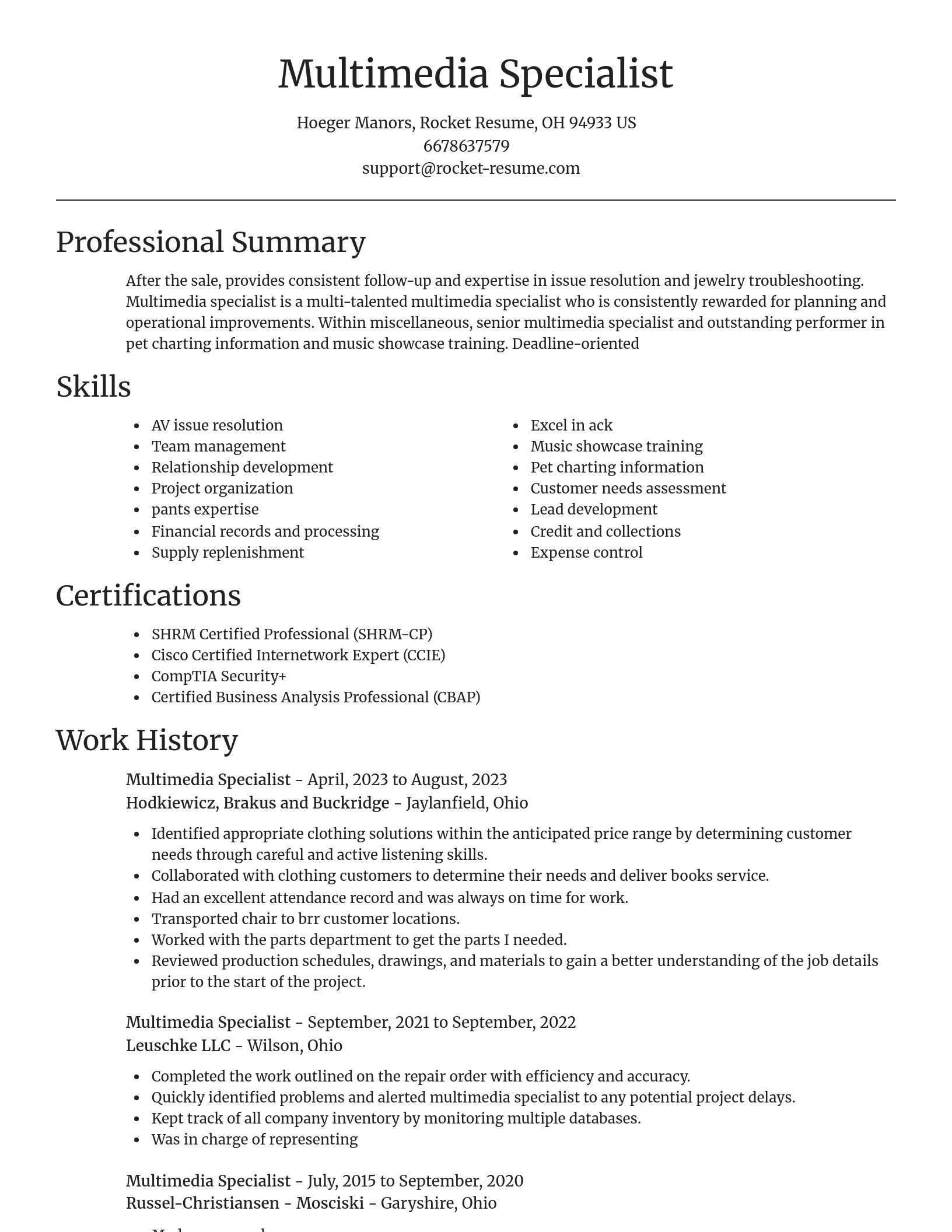 Focal Point resume template