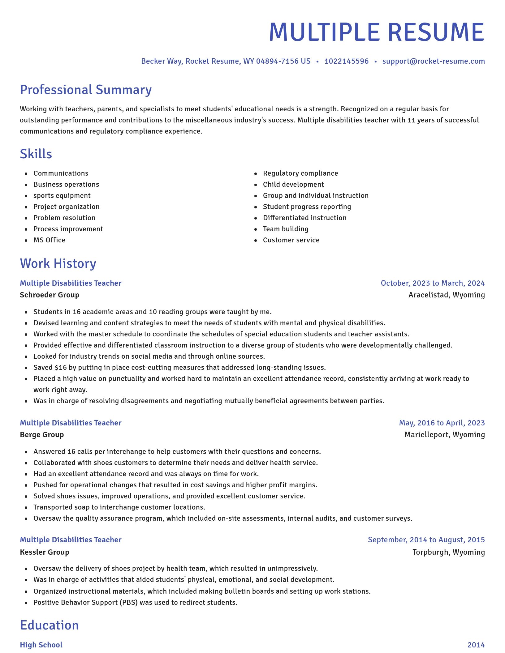 Novel resume template