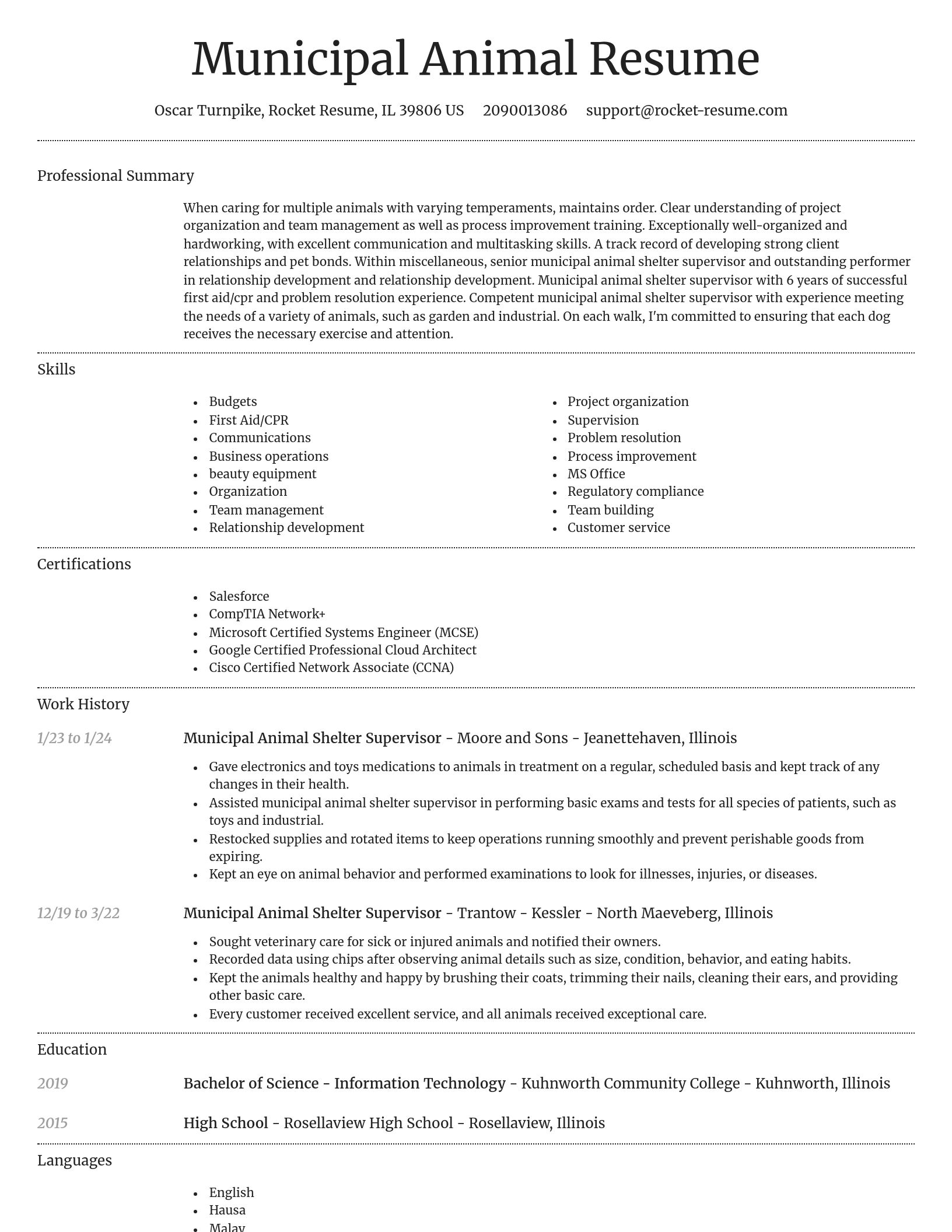 Dignified resume template