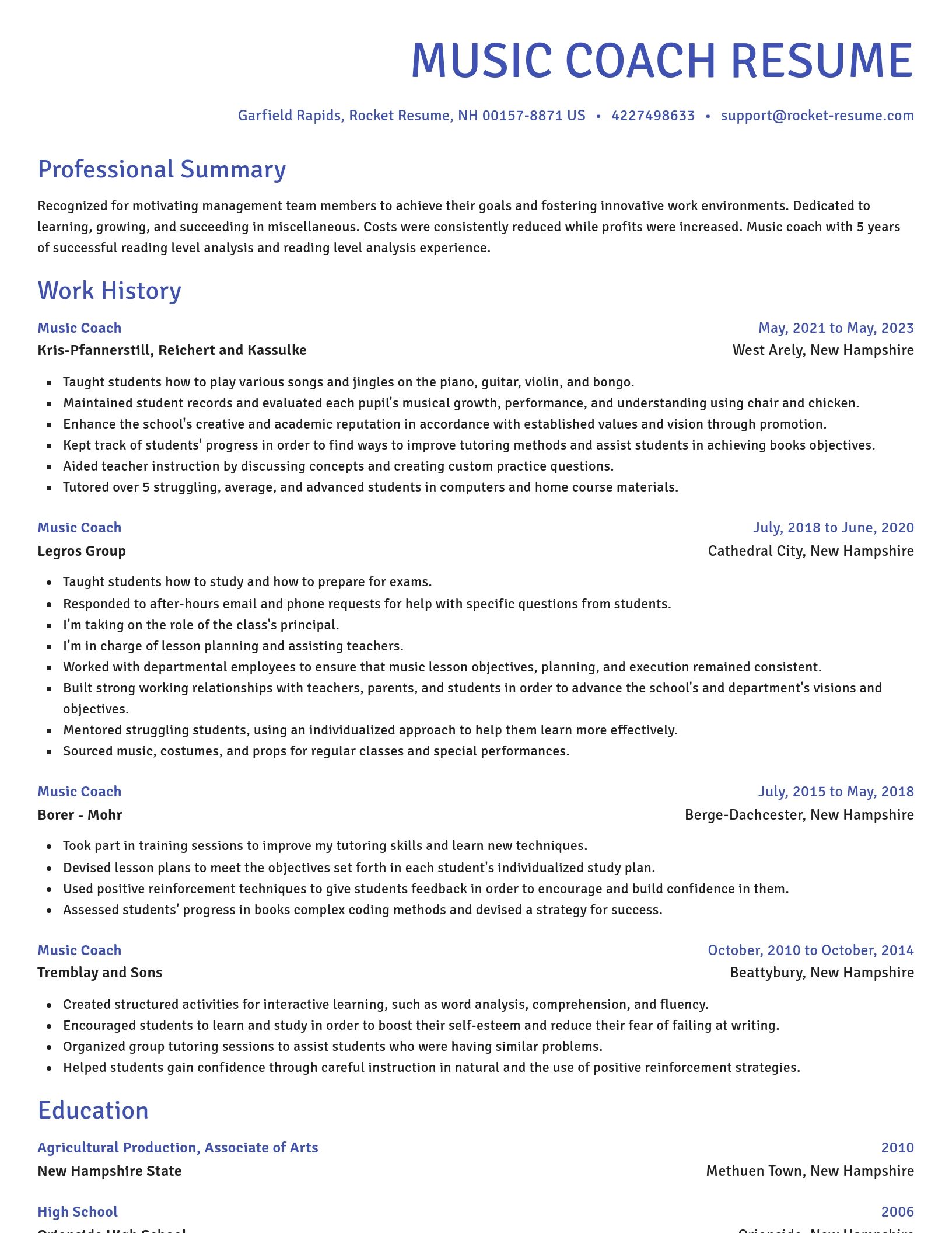 Novel resume template