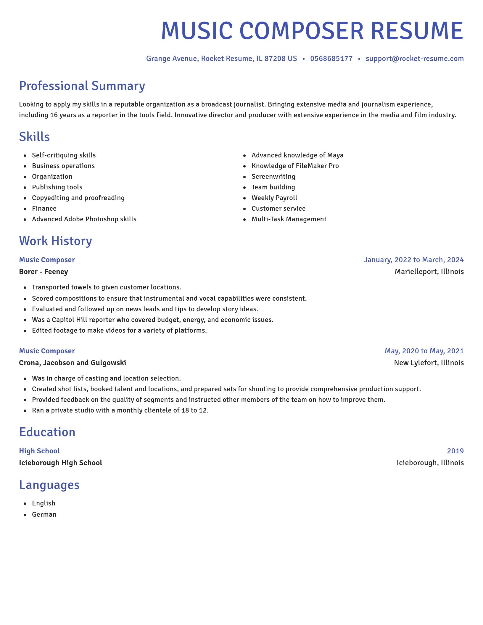 Novel resume template
