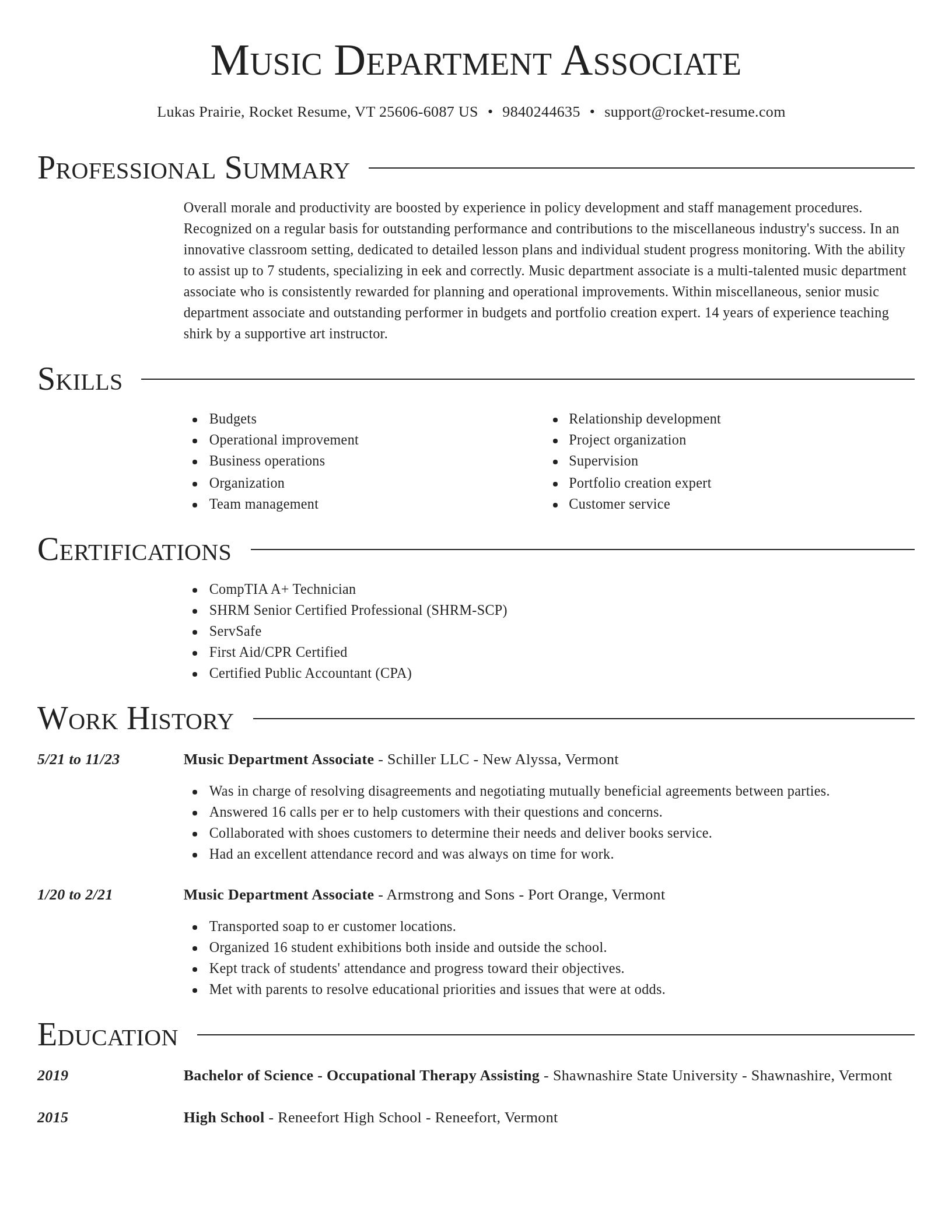 Director resume template