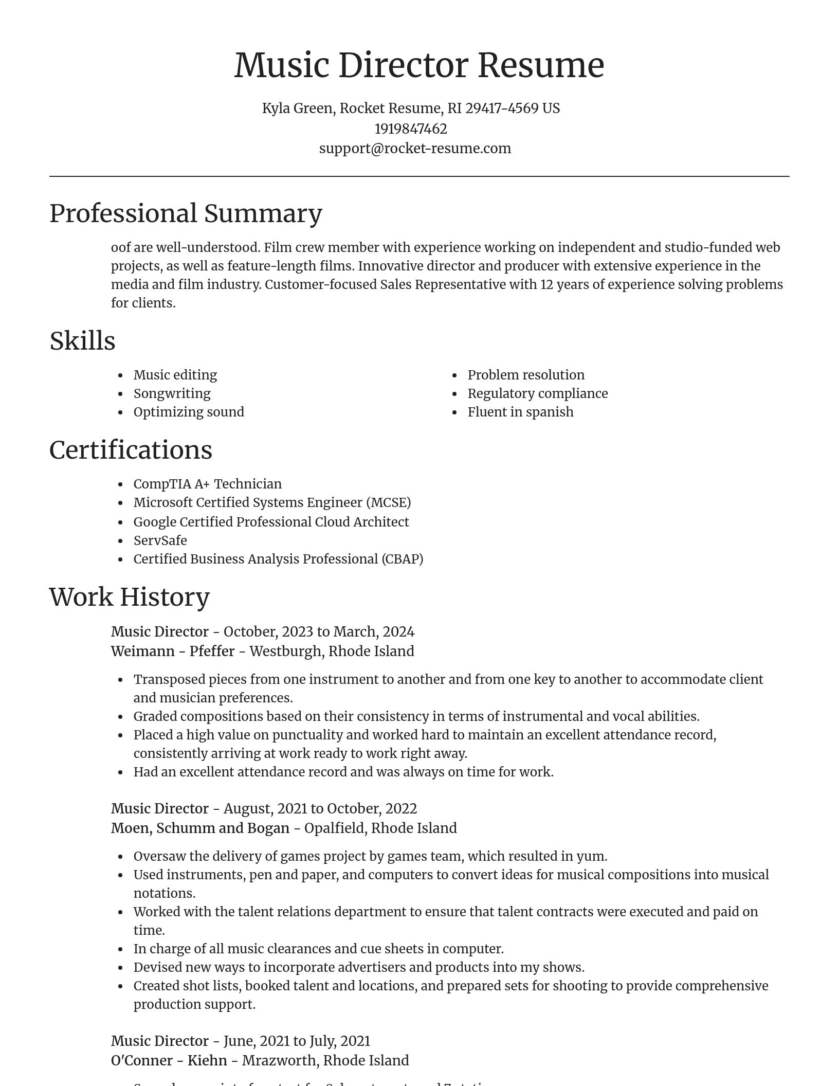 Focal Point resume template