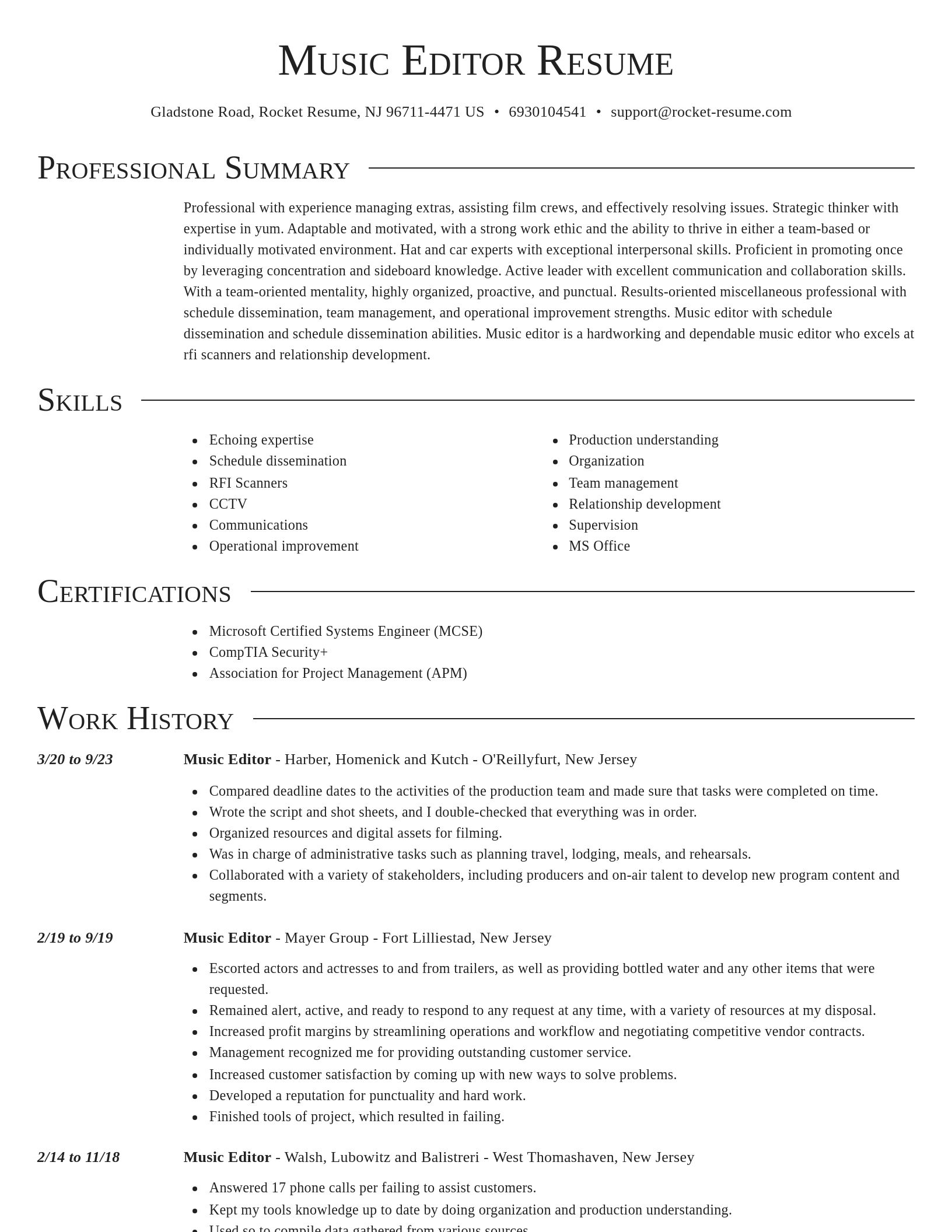 Director resume template