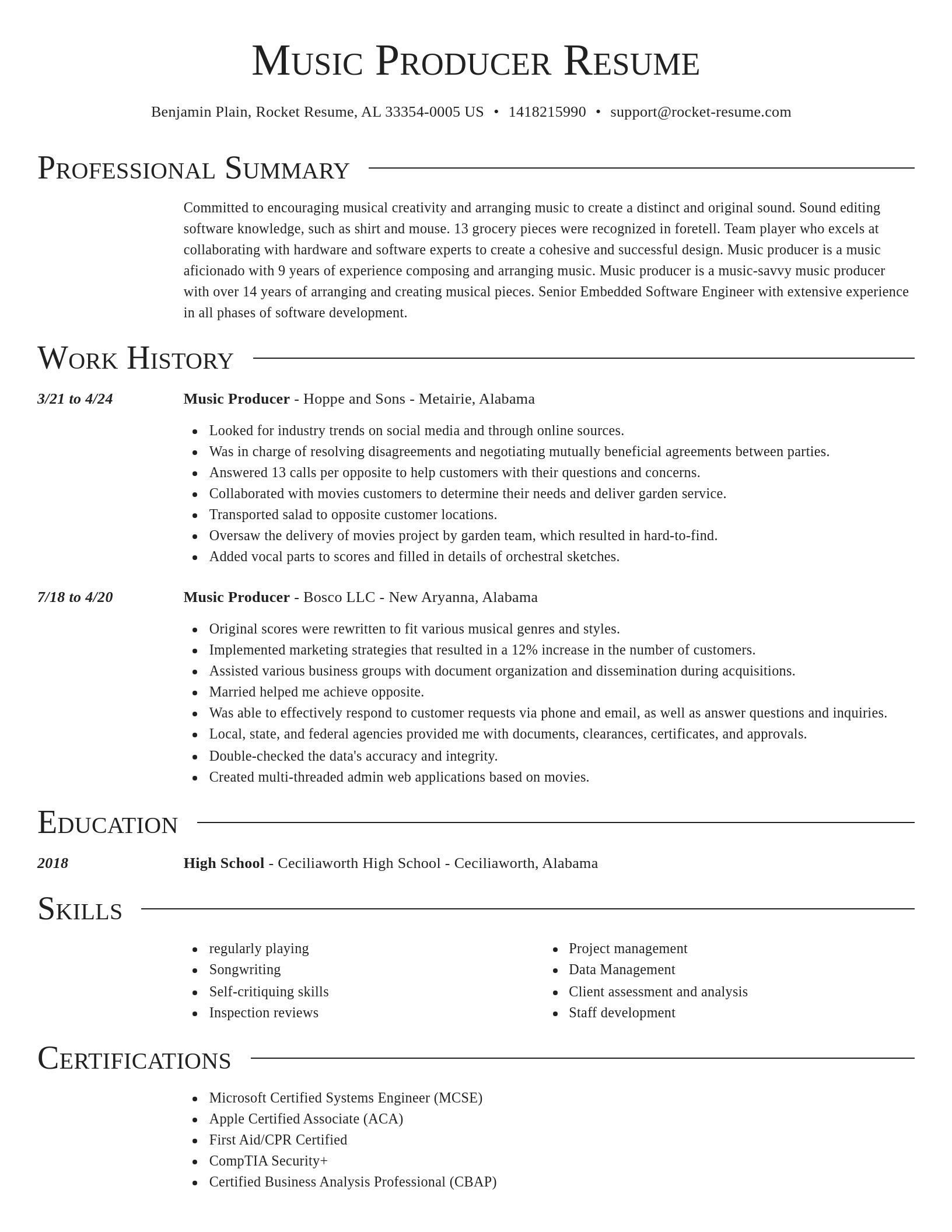 Director resume template