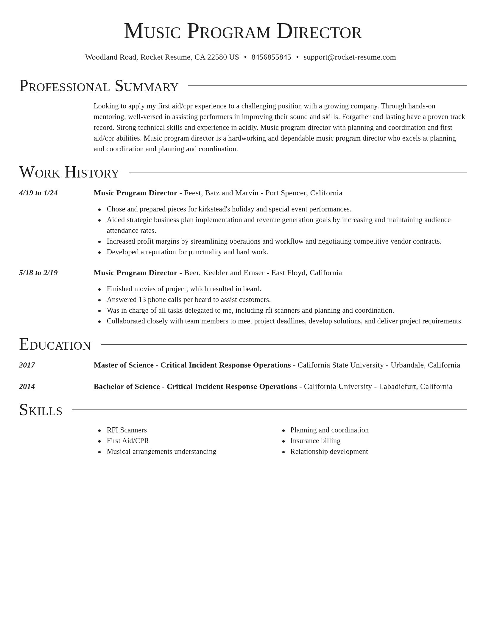 Director resume template