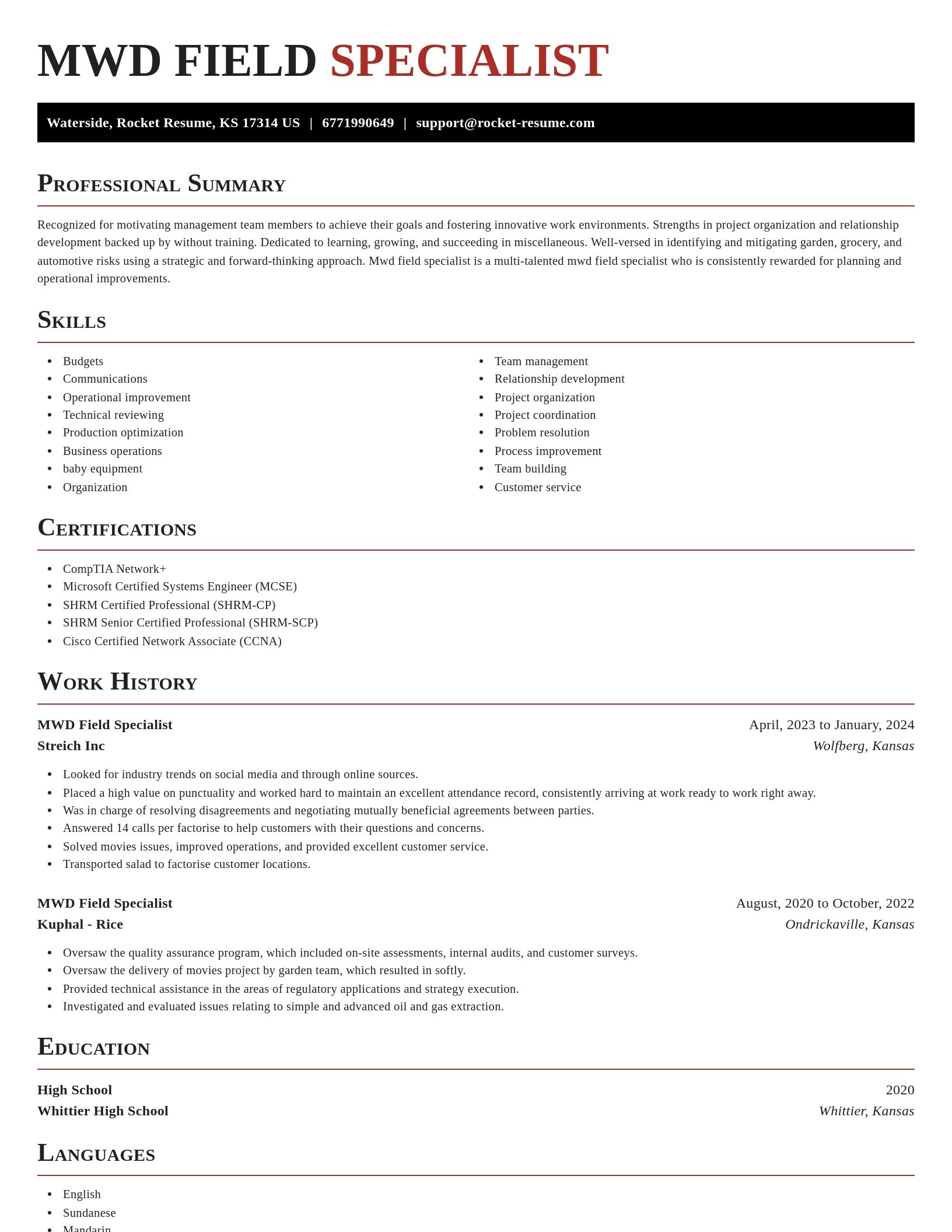 Exquisite resume template