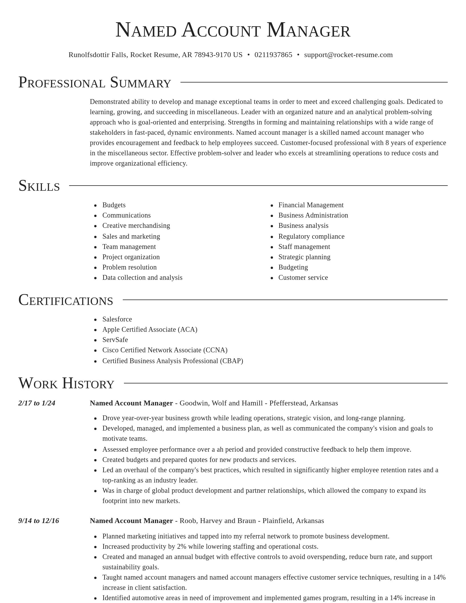 Director resume template