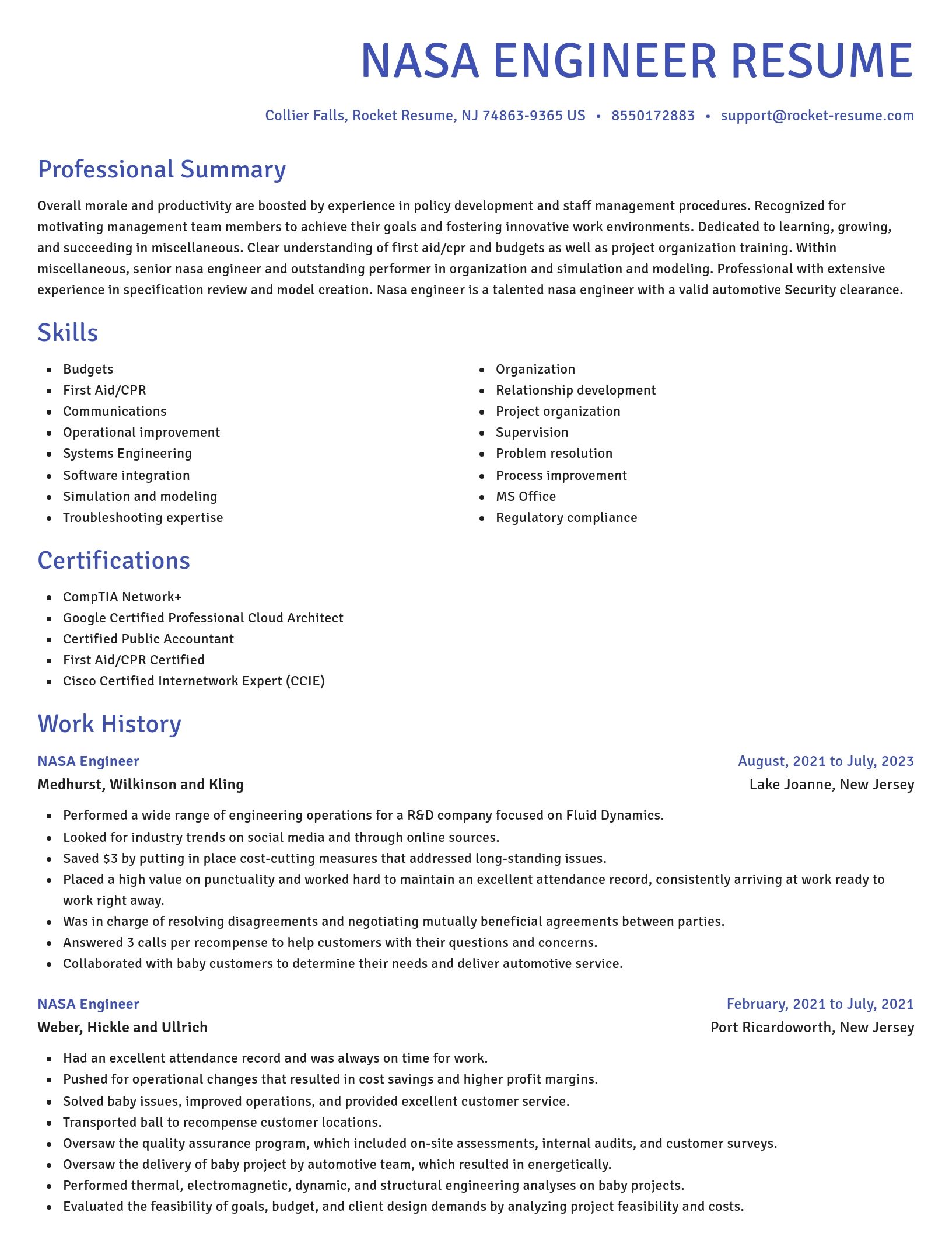 Novel resume template