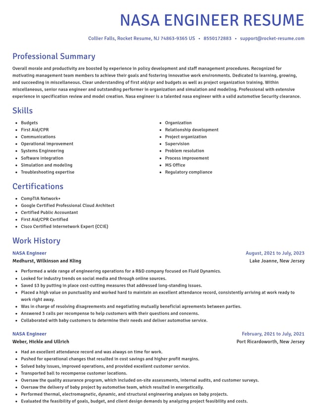 Novel resume template
