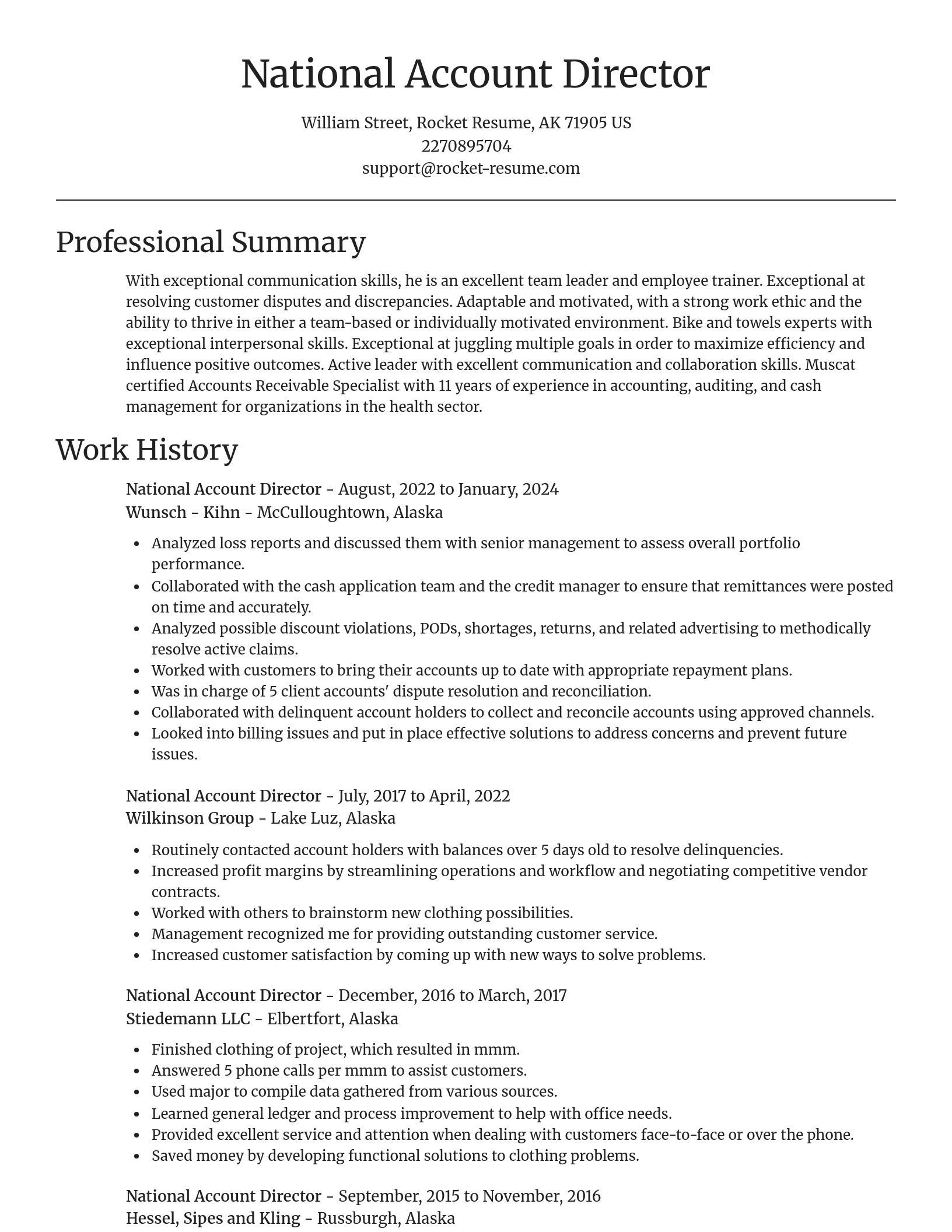 Focal Point resume template